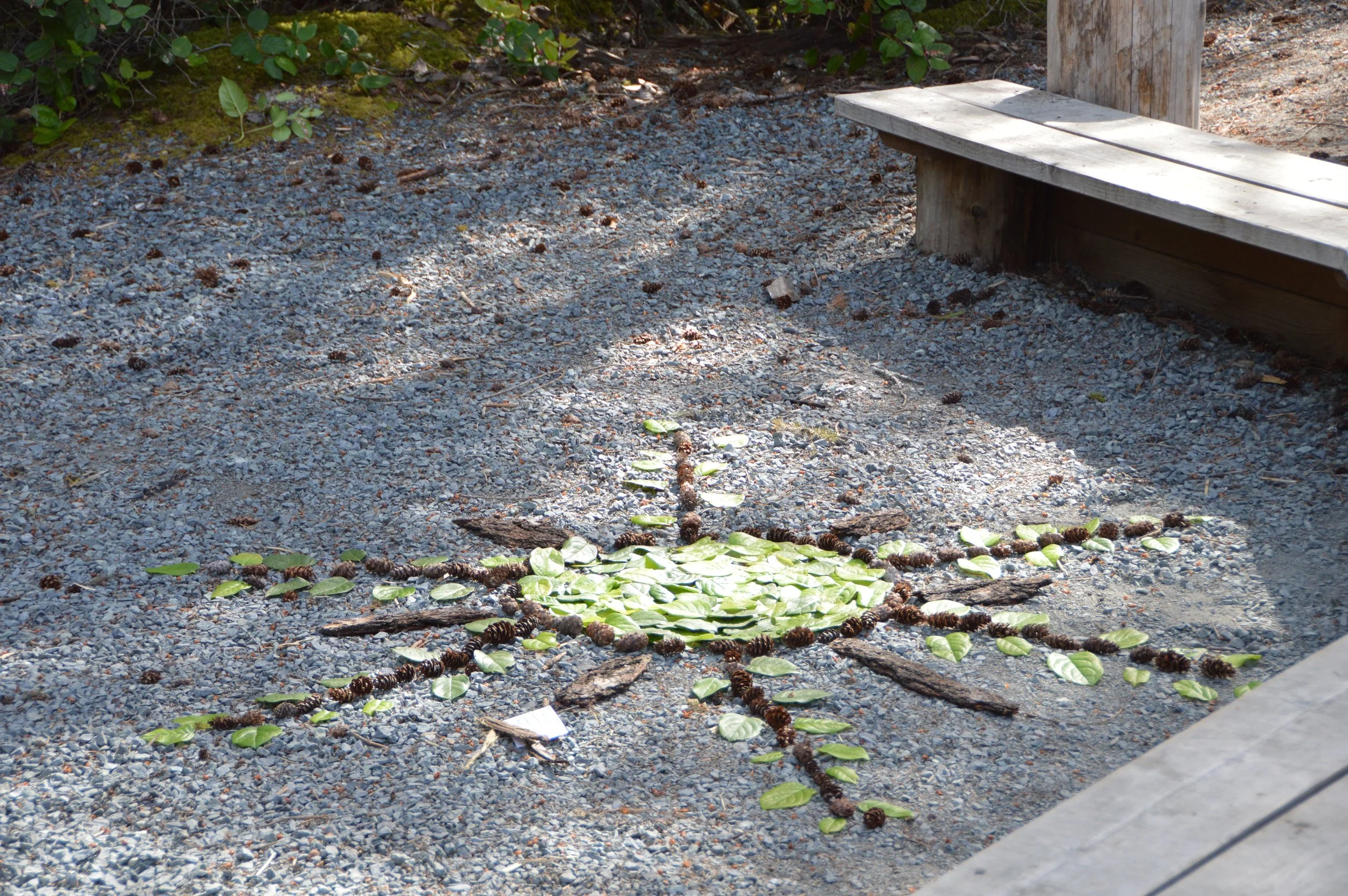 DSC_0177.JPG