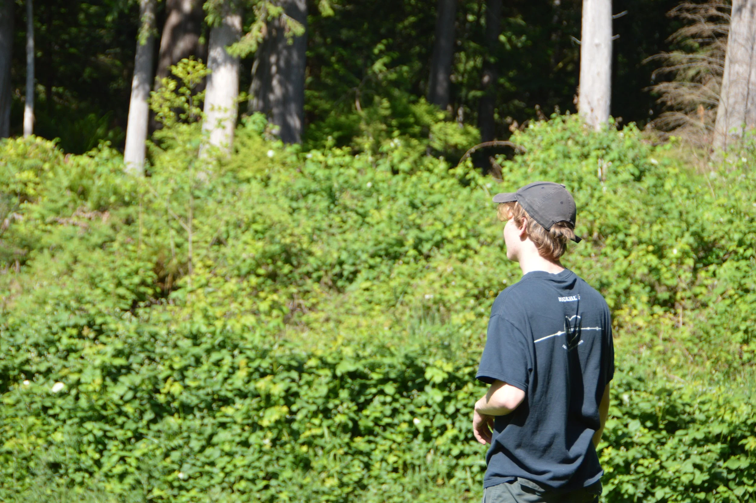 DSC_0199.JPG