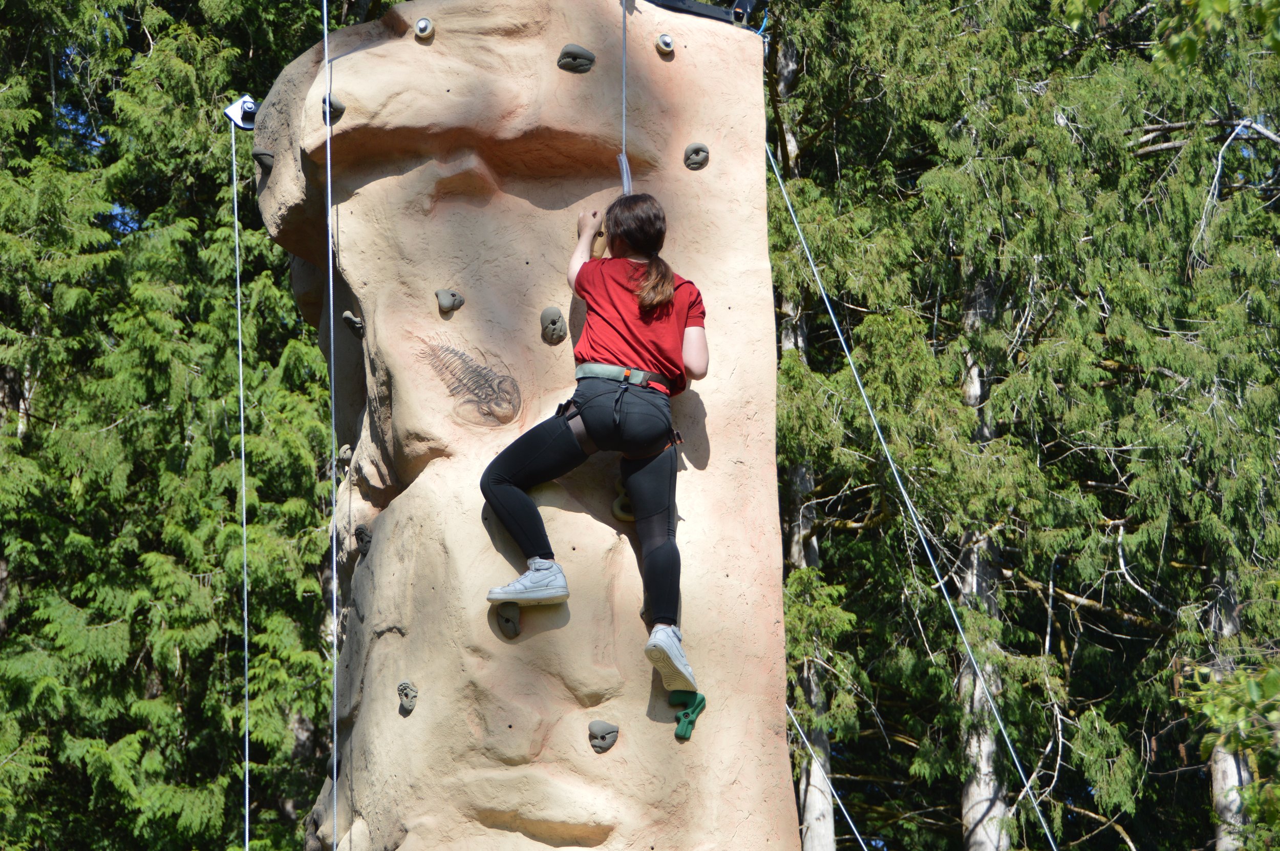 DSC_0206.JPG