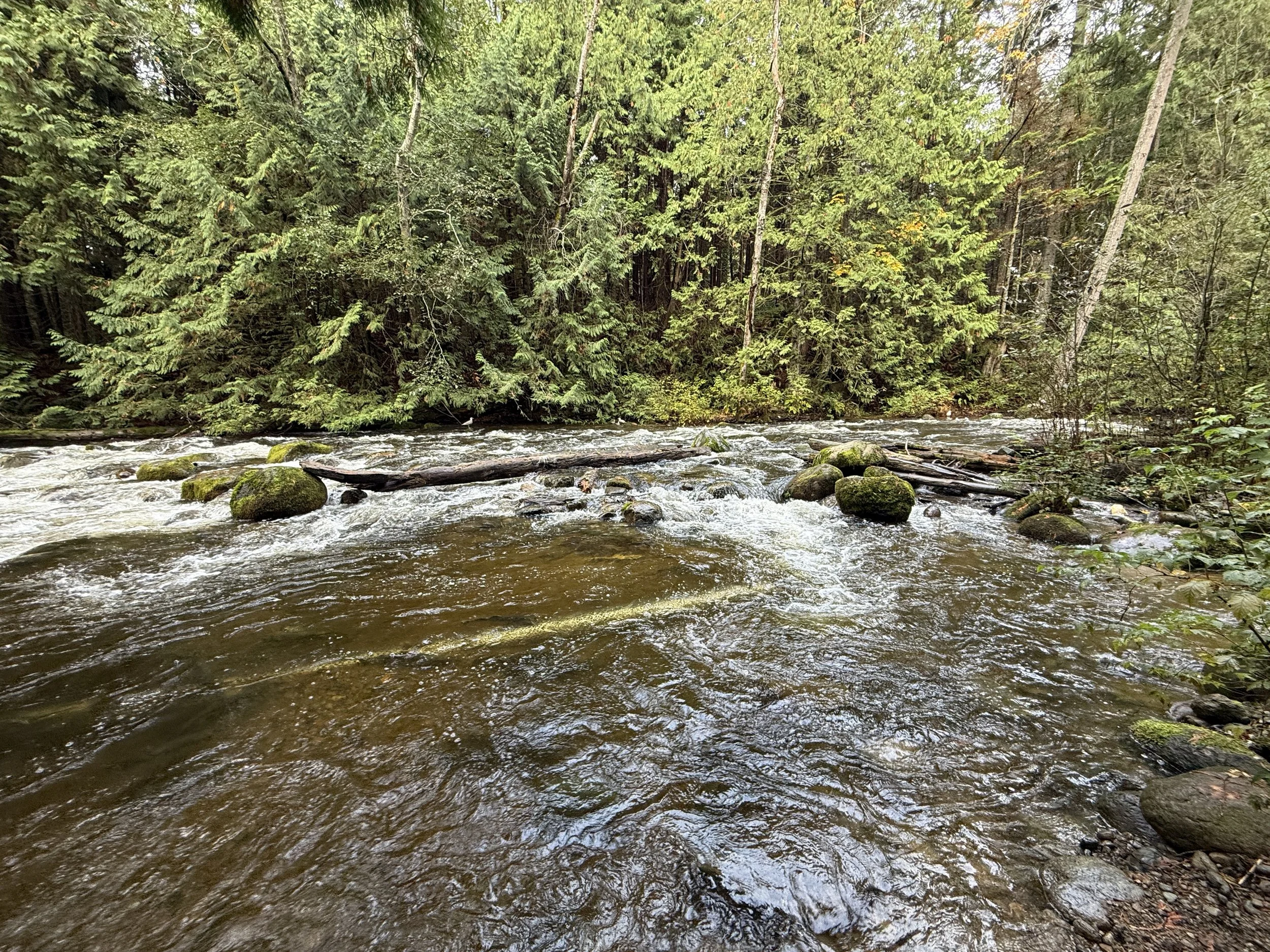 IMG_0233.JPG