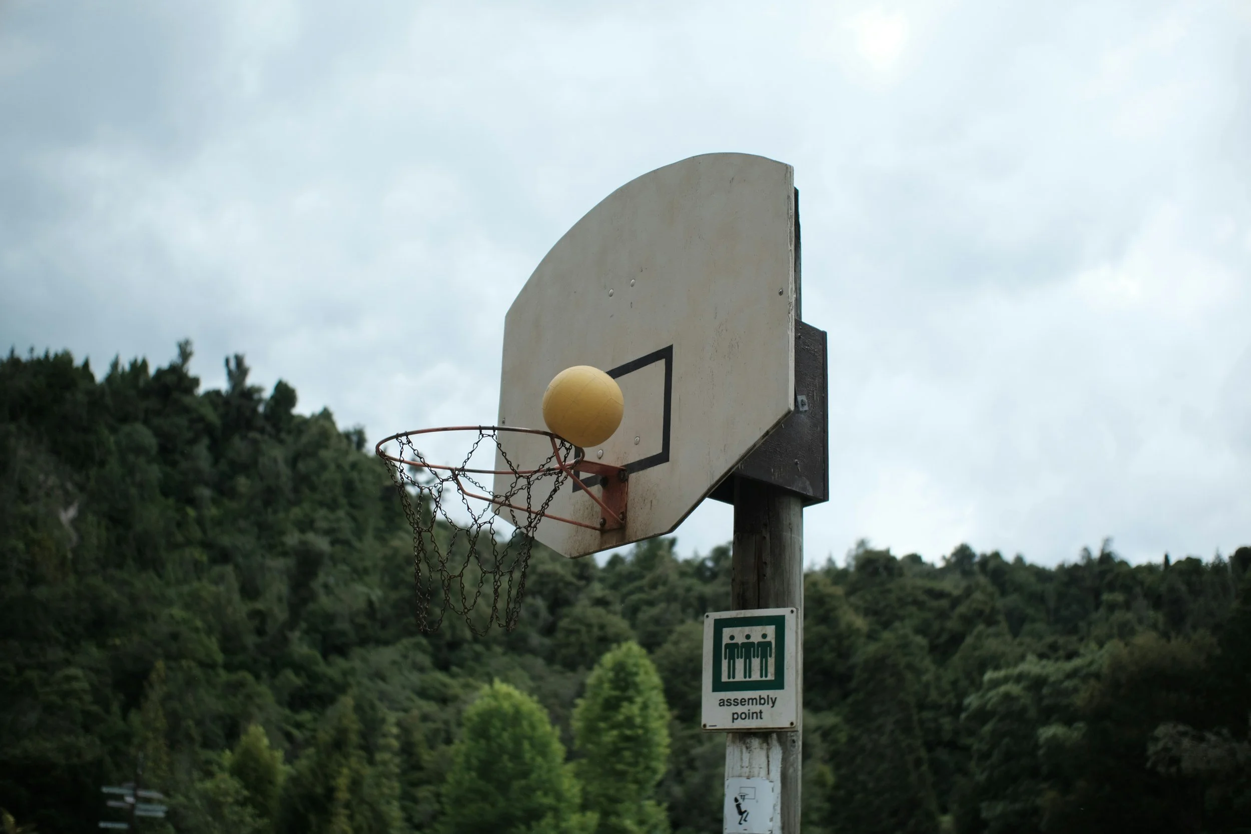 Failing Forward to Success
