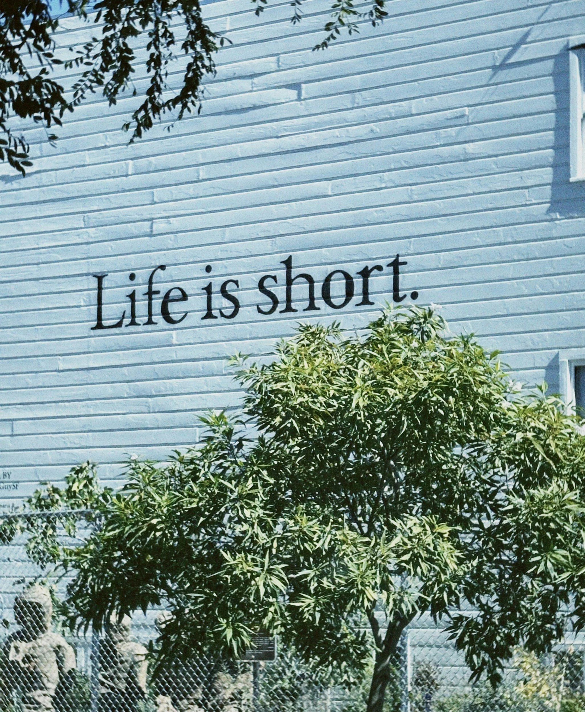 Life is too Short