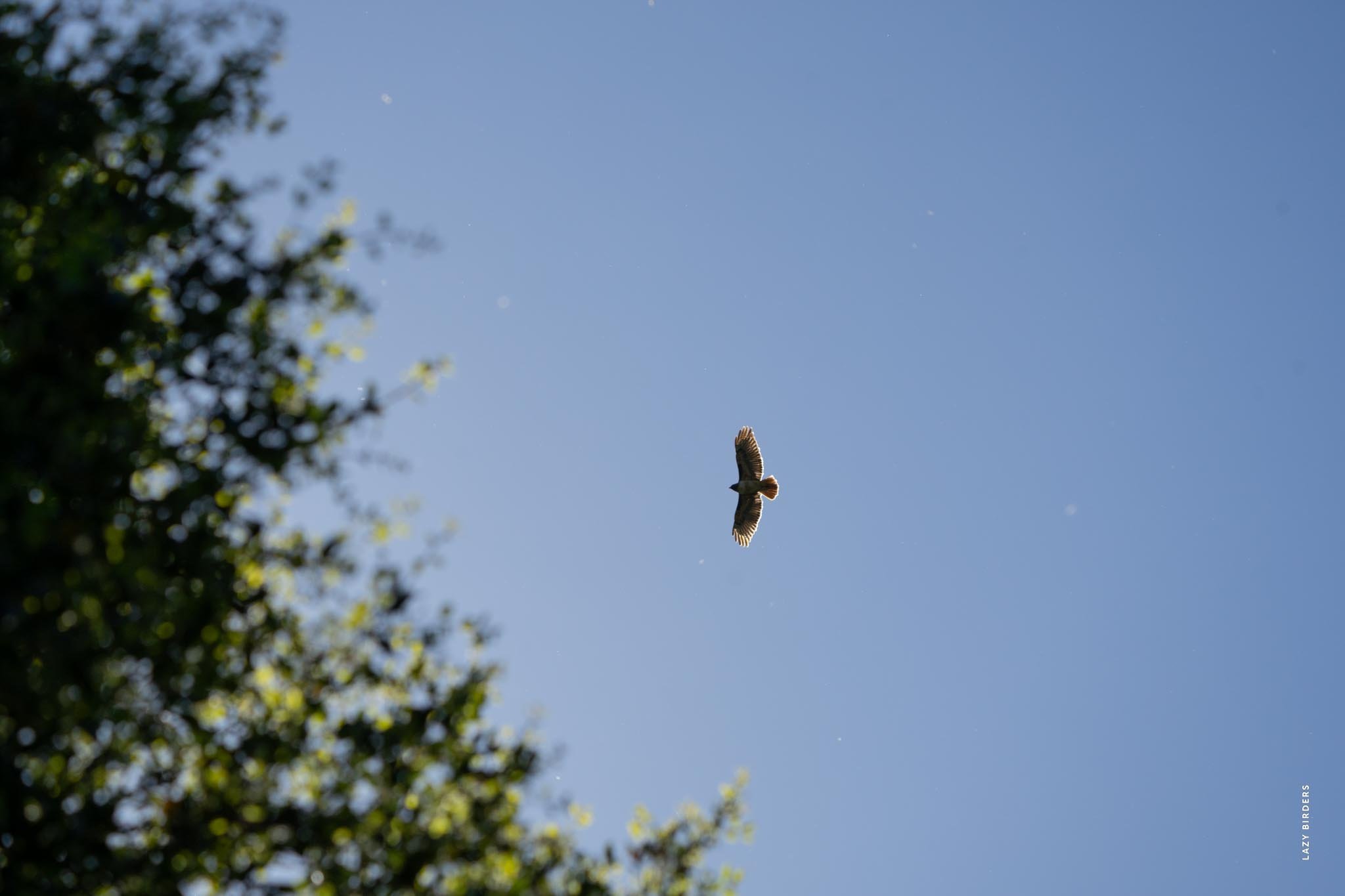 DSC04340.jpg