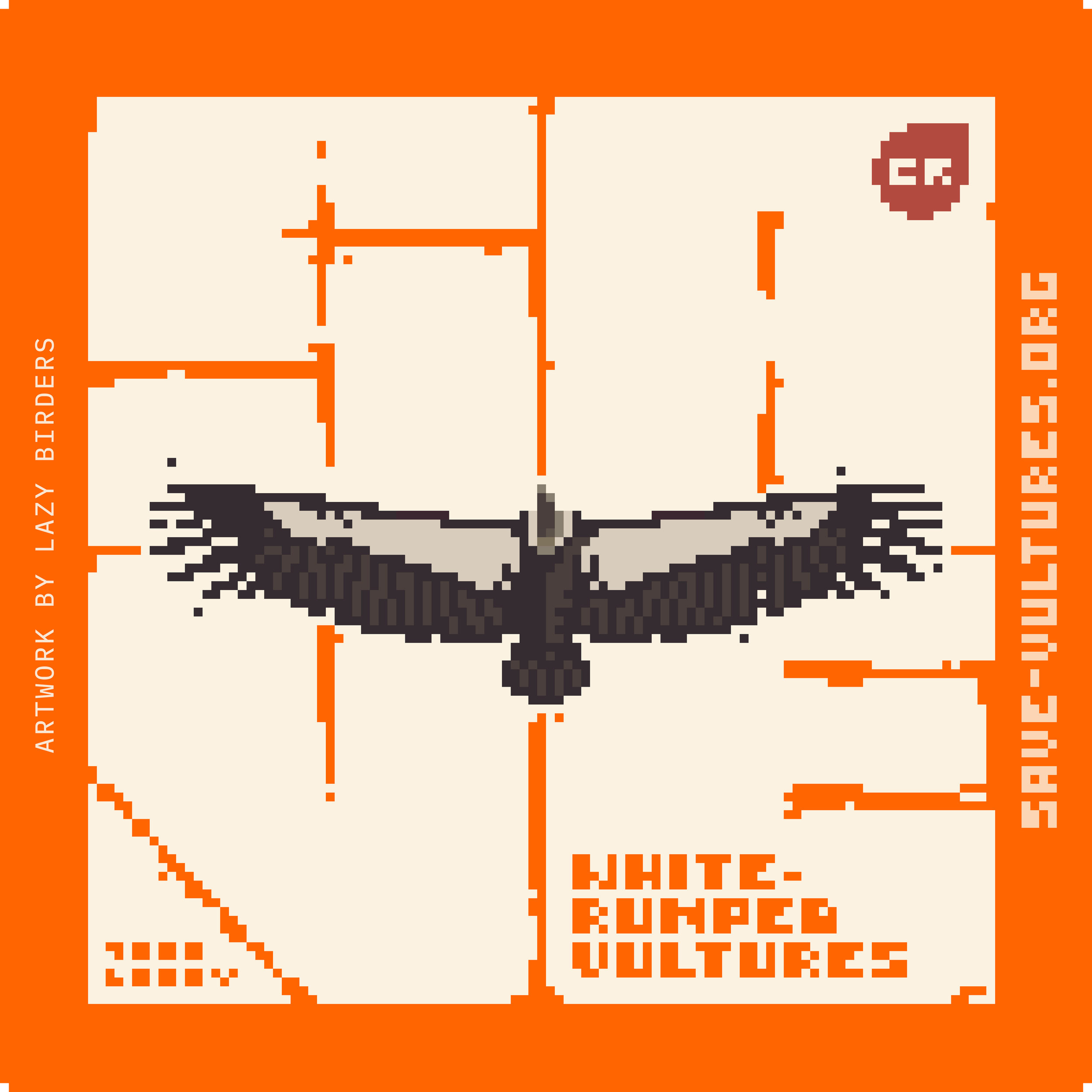 White-rumped Vulture