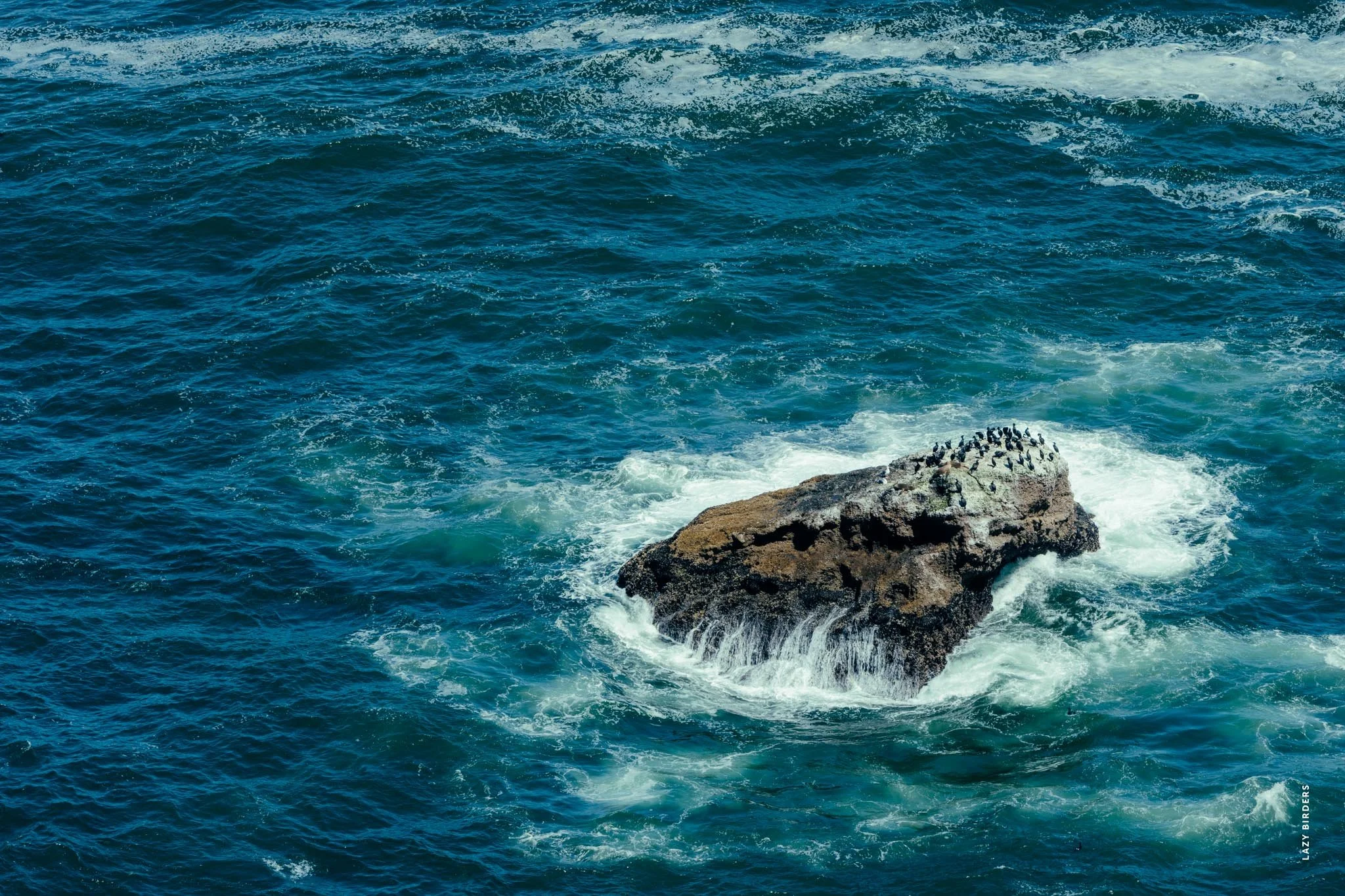 _DSC6504.jpg
