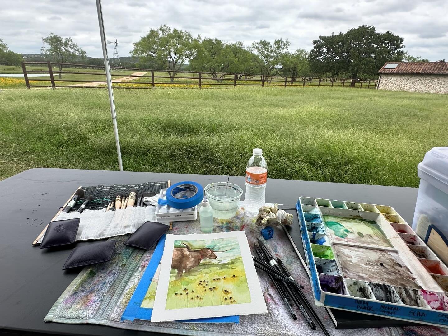 Longhorn day at the ranch! I think I better stick to flowers. But boy are they big and interesting animals! @highlandlakescreativearts  #pleinairtexas #watercolor #watercolorpainting 🤠