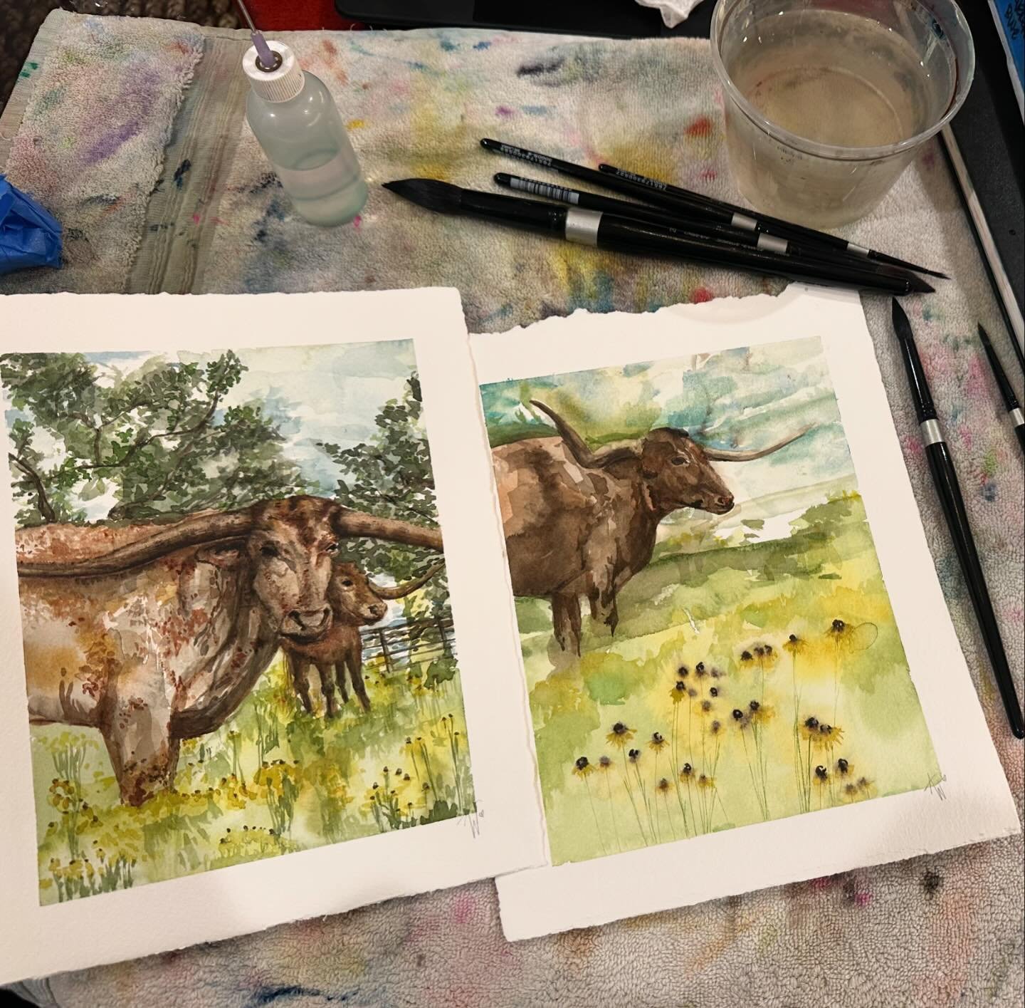 Longhorn day&hellip; done! Prep for the mentor day with &ldquo;student art day&rdquo;tomorrow! @highlandlakescreativearts 🤠 #pleinairpainting #watercolorpainting #watercolors