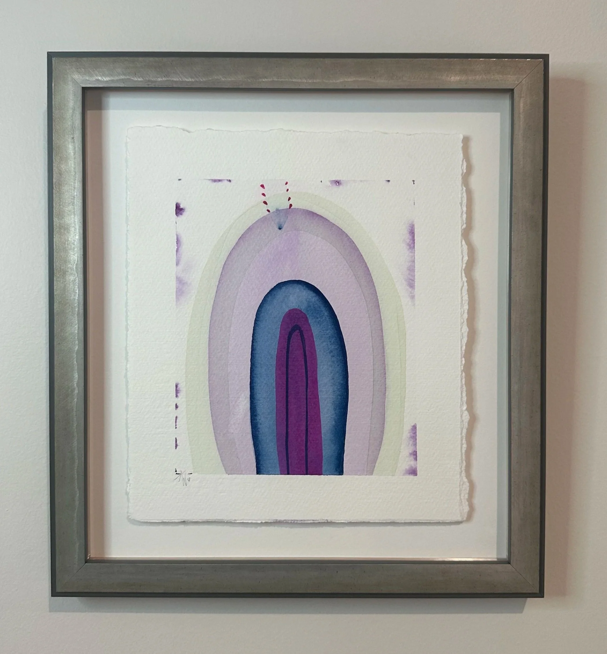 NATIVE RAINBOW Series #2 - 11x14 framed with museum glass