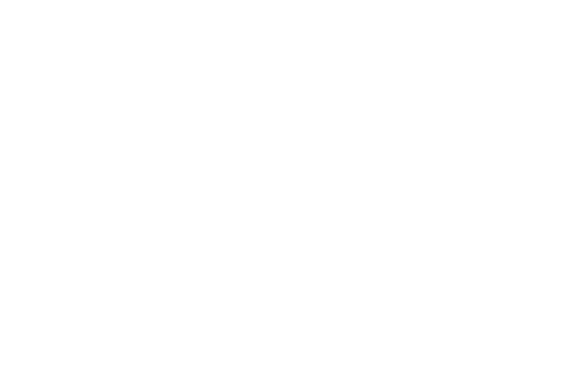 The image is completely blank with no visible objects or details.