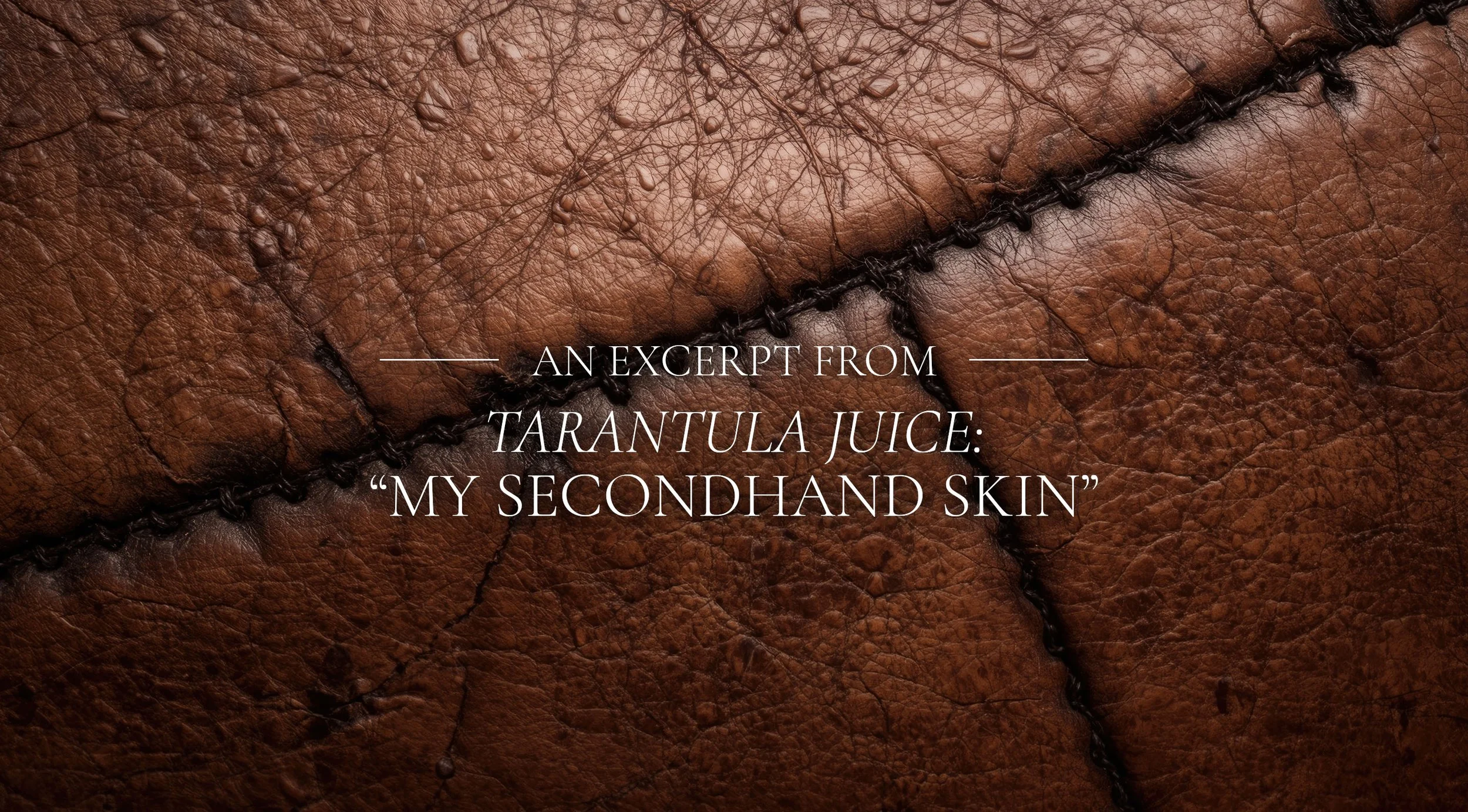 My Secondhand Skin Banner.jpg