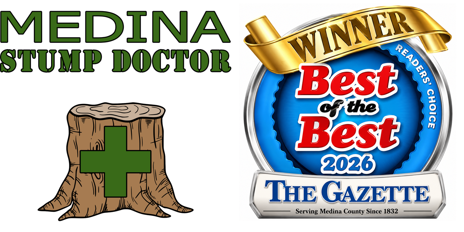 Medina Stump Doctor