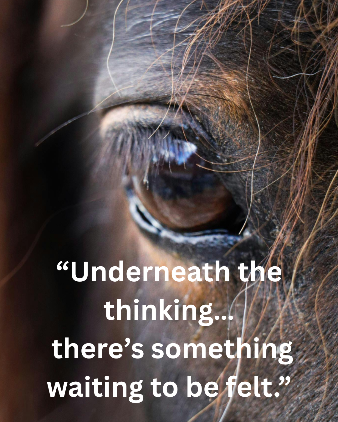 Stuck in Your Head? It Might Not Be What You Think