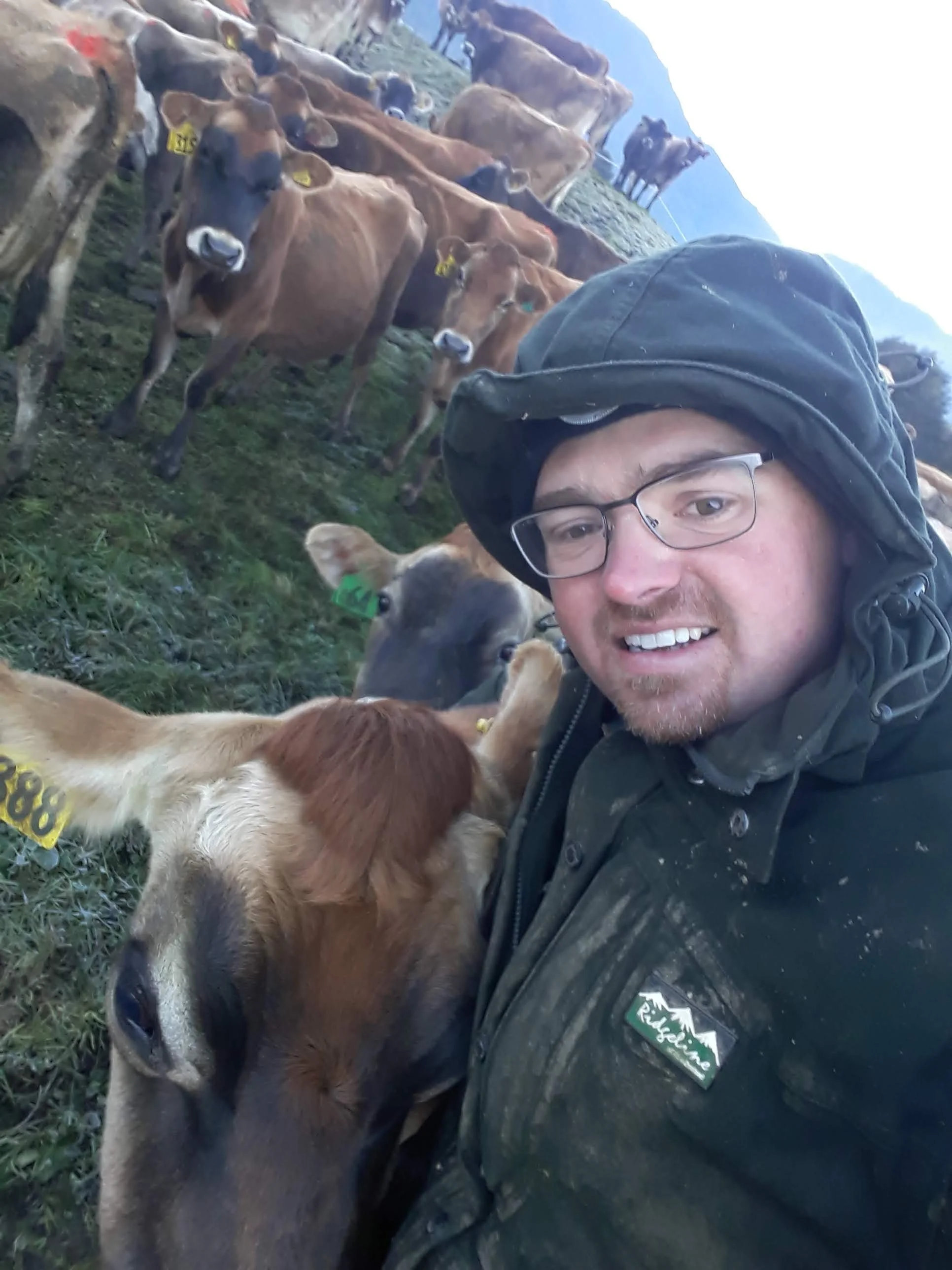 Scott from The Healing Barn with cows during his dairy farming years