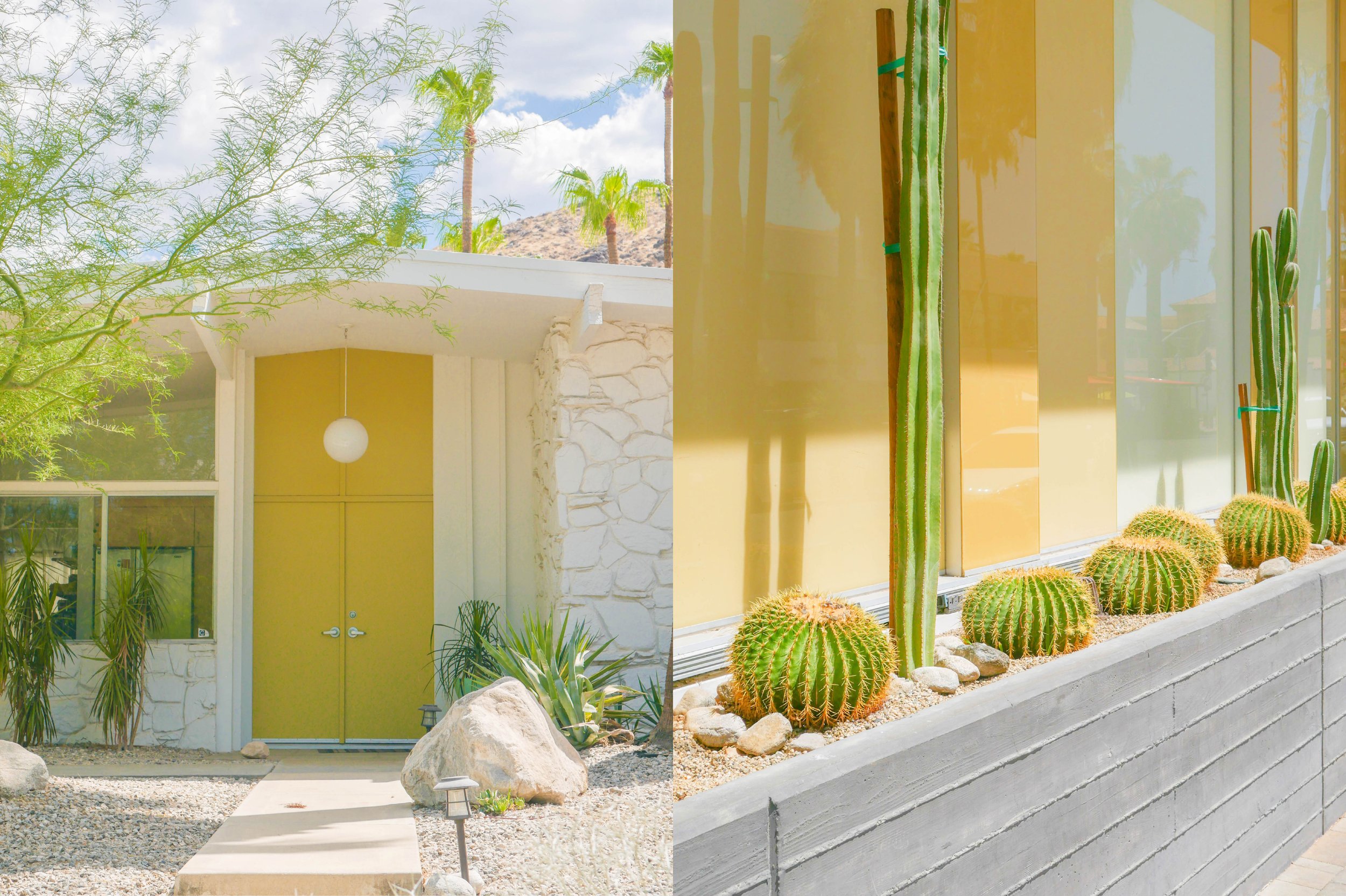 'Limoncello' 2023