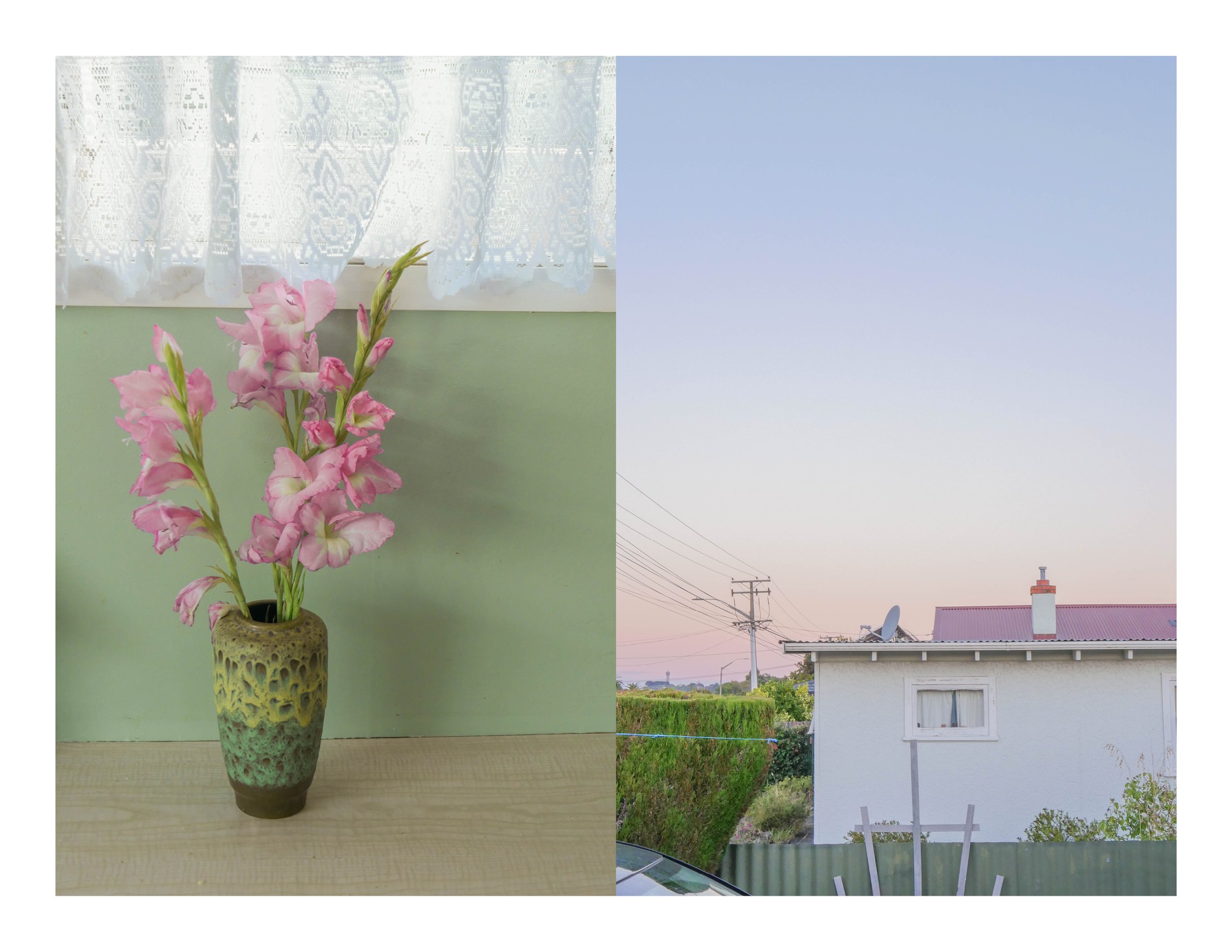 'Fitzherbert Ave' 2019
