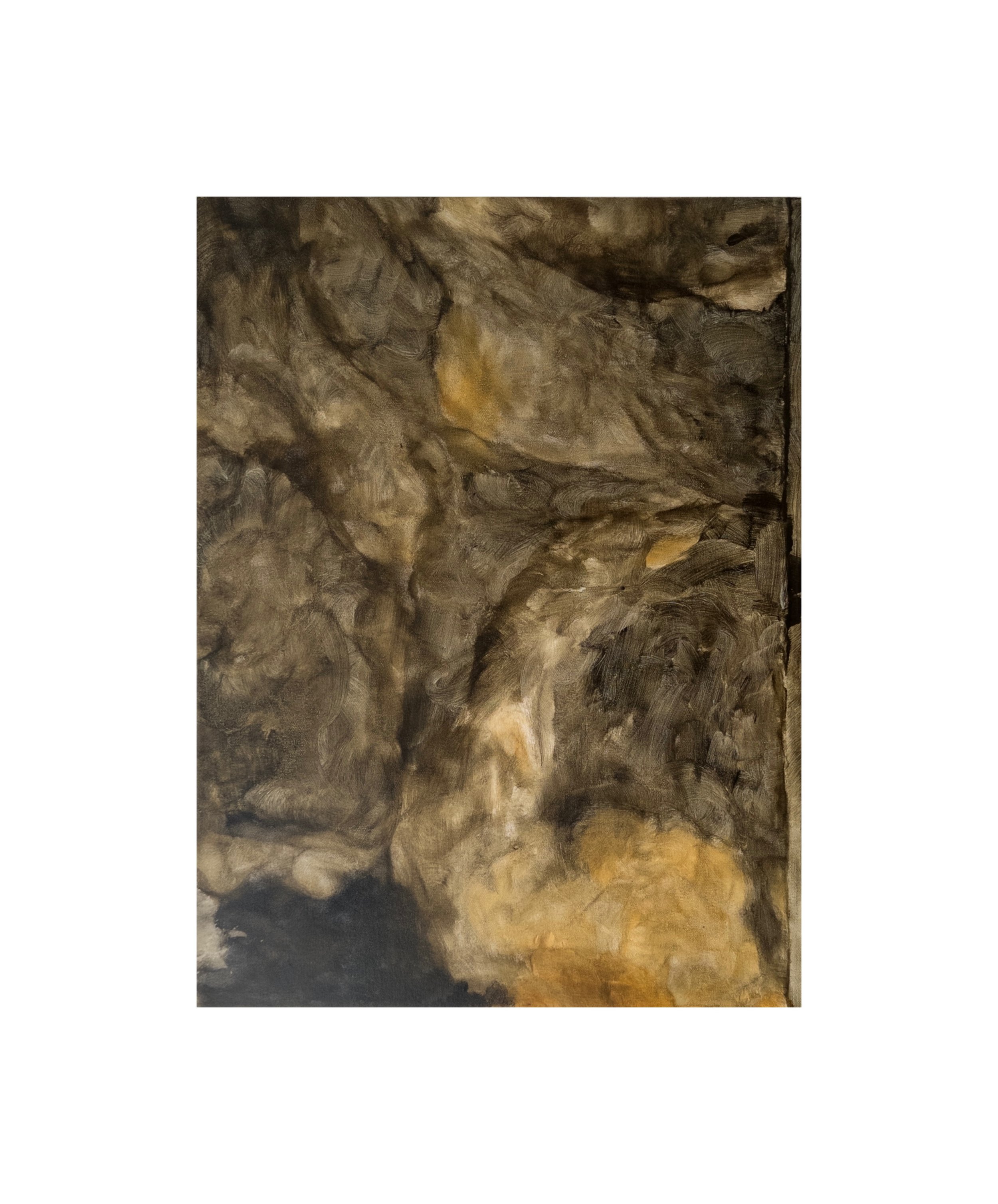 IMG_7541.jpeg