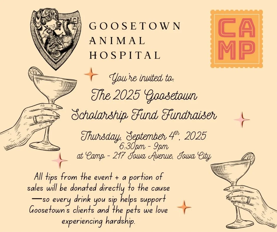 Goosetown Animal Hospital Scholarship Fundraiser