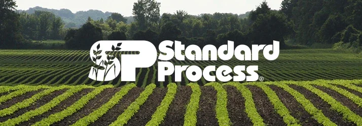 FRIDAY - Forums for Family Business Monthly Meeting 