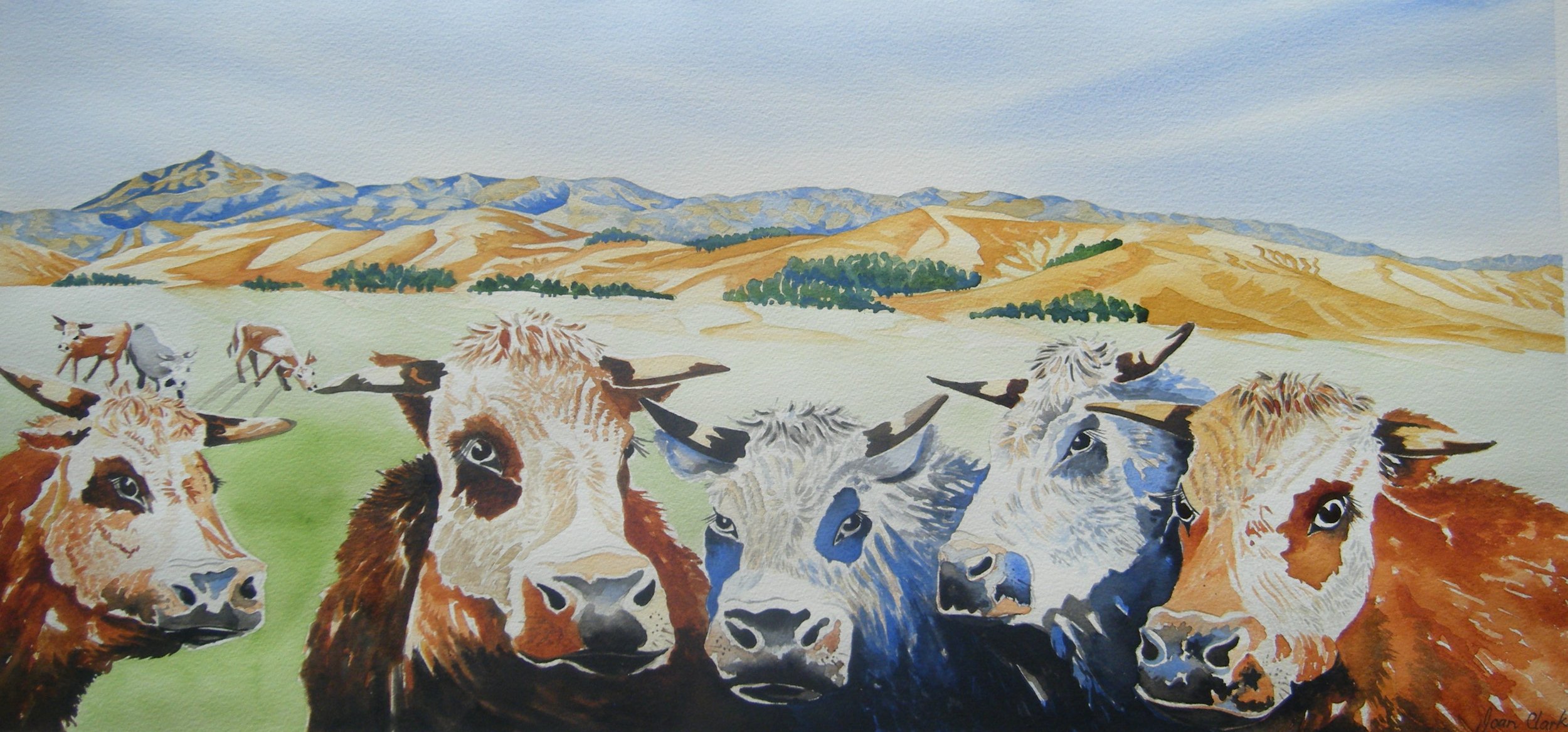 The Cows and Ned
