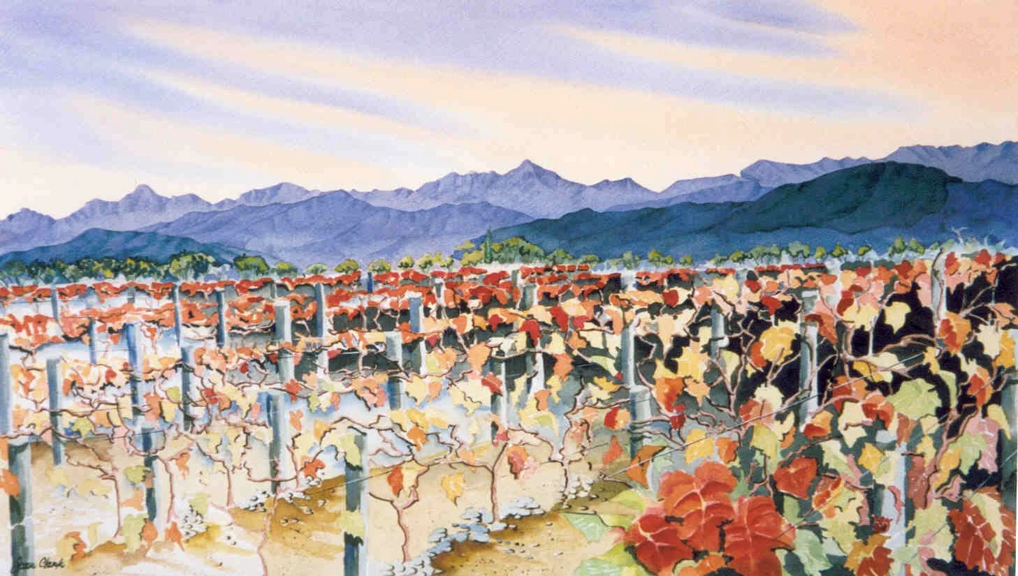 Herzog Vineyard