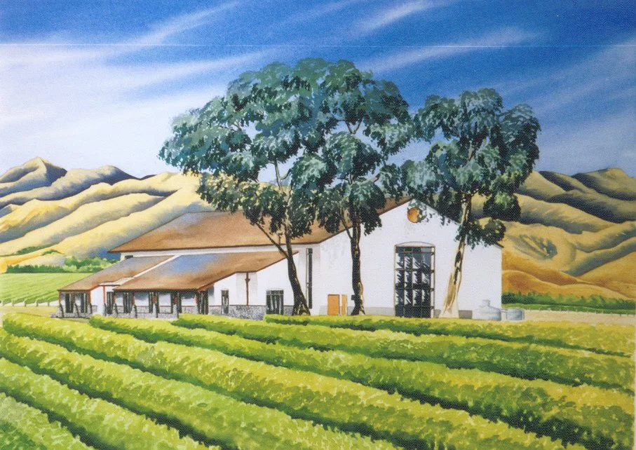 Drylands Estate, Blenheim
