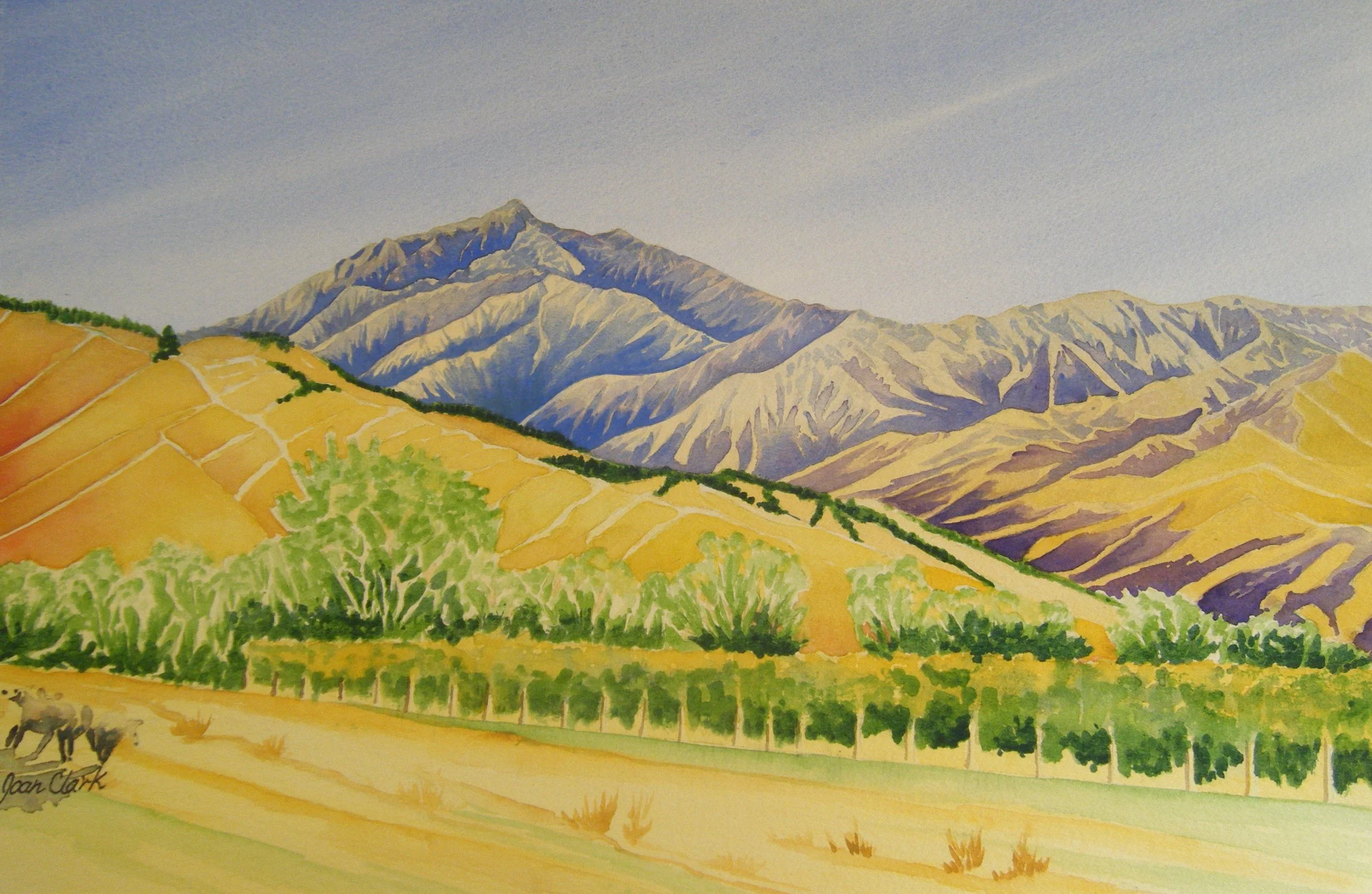 The Ned, Marlborough