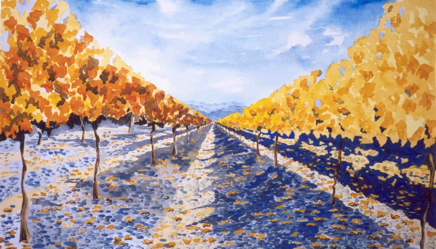 Sauvignon Blanc
