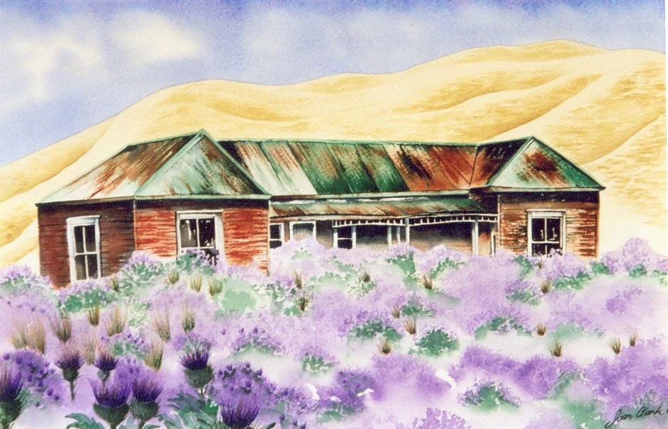 Old Homestead, Hihiroroa, Gisborne