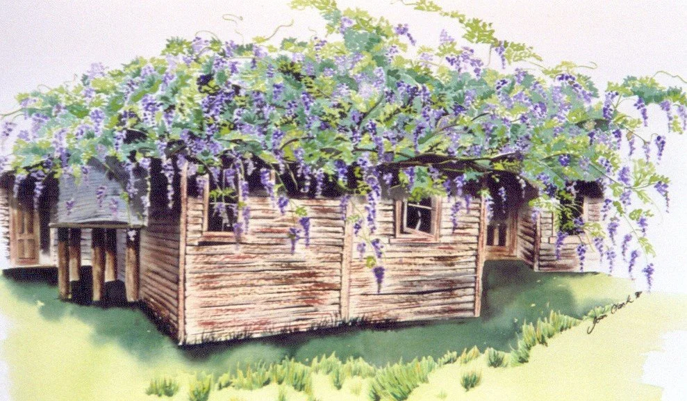 Wisteria Cottage, Te Karaka, Gisborne