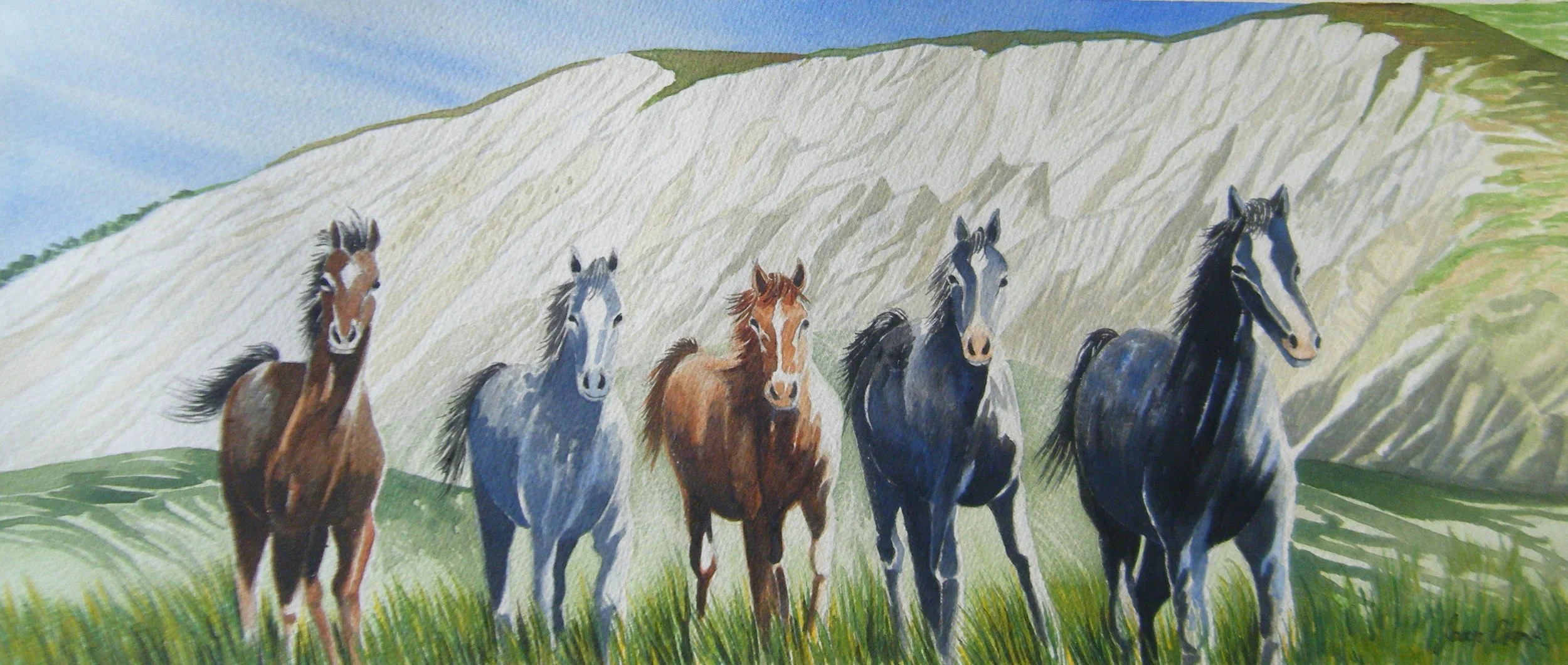 Waipapa posse