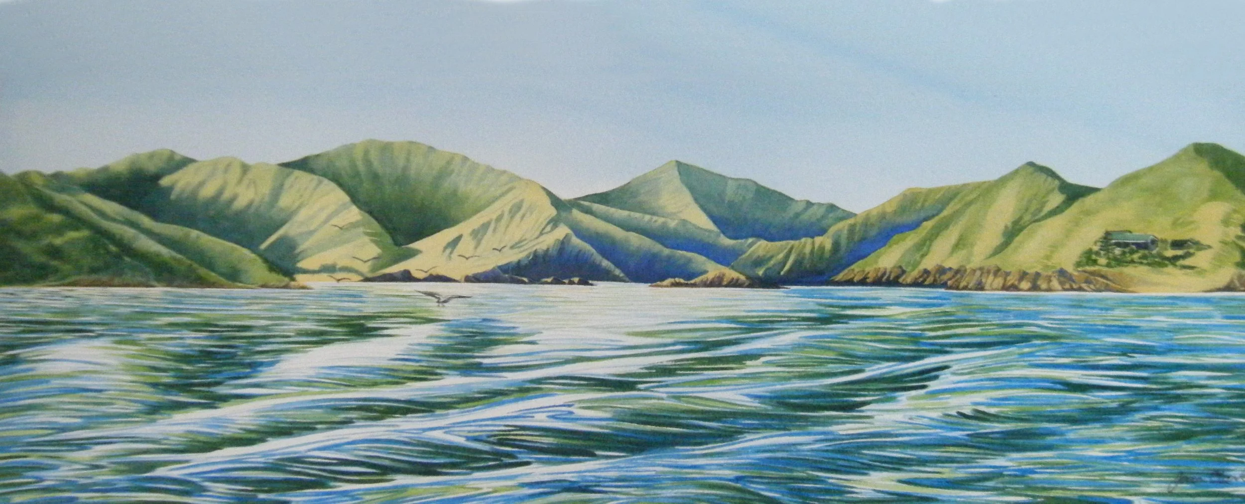 2022 Kura te Au - Tory Channel.JPG