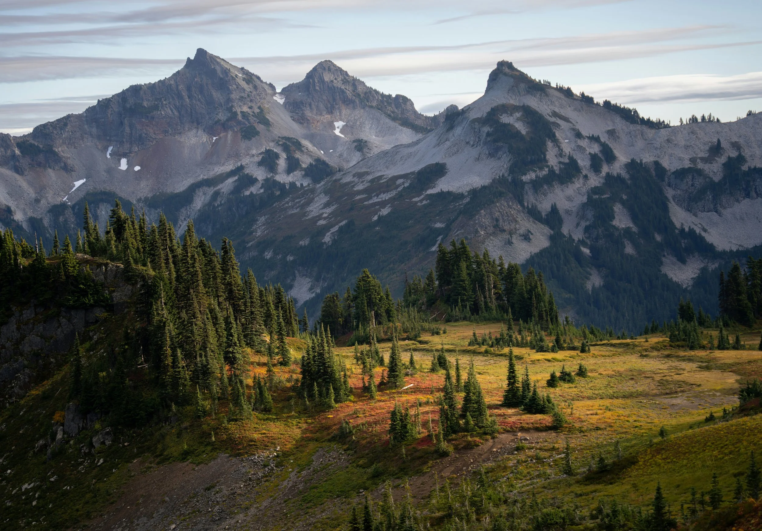 Mountains with rocky peaks and patches of snow, forested slopes, and a meadow with green and reddish foliage.