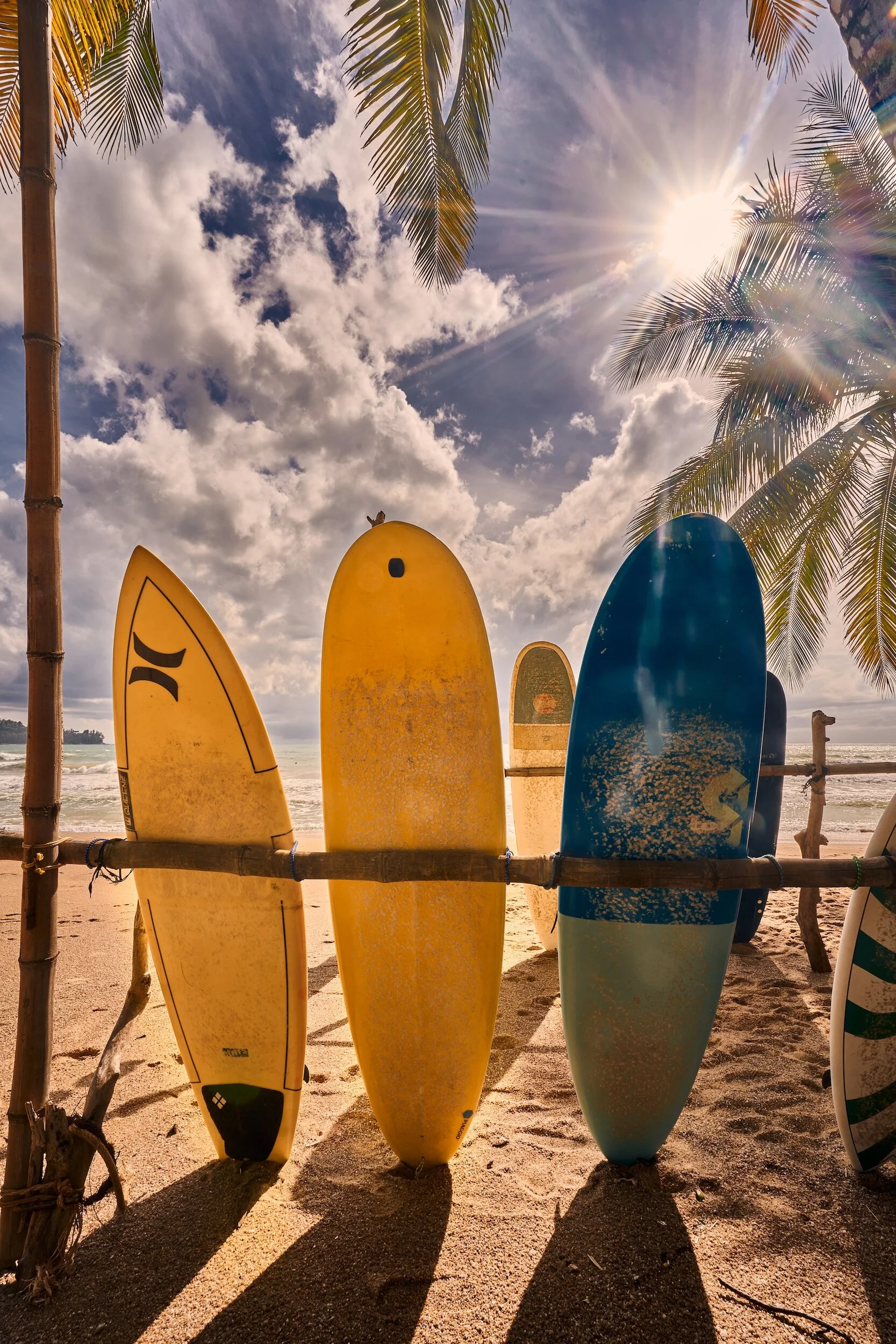 5 Steps to Igniting Profound Joy and Purpose in Life and Work