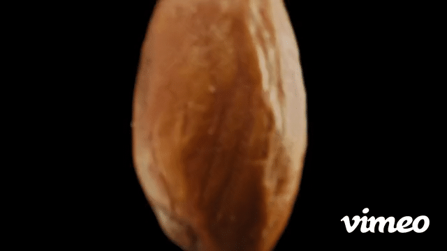 Eat Your Dern Almonds