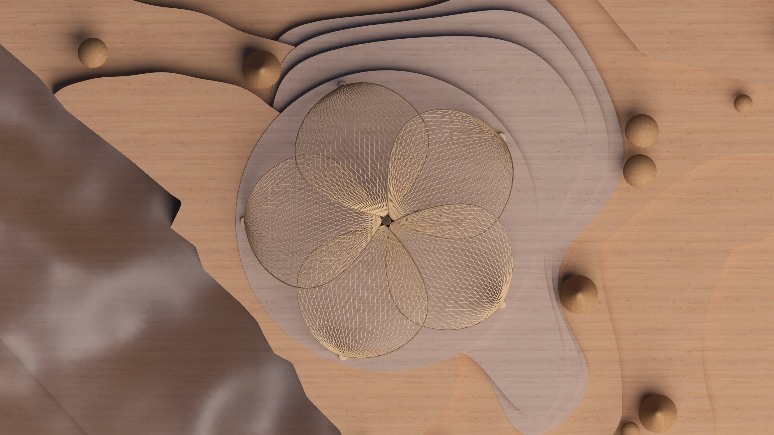 frangipani_top_zoom.jpg