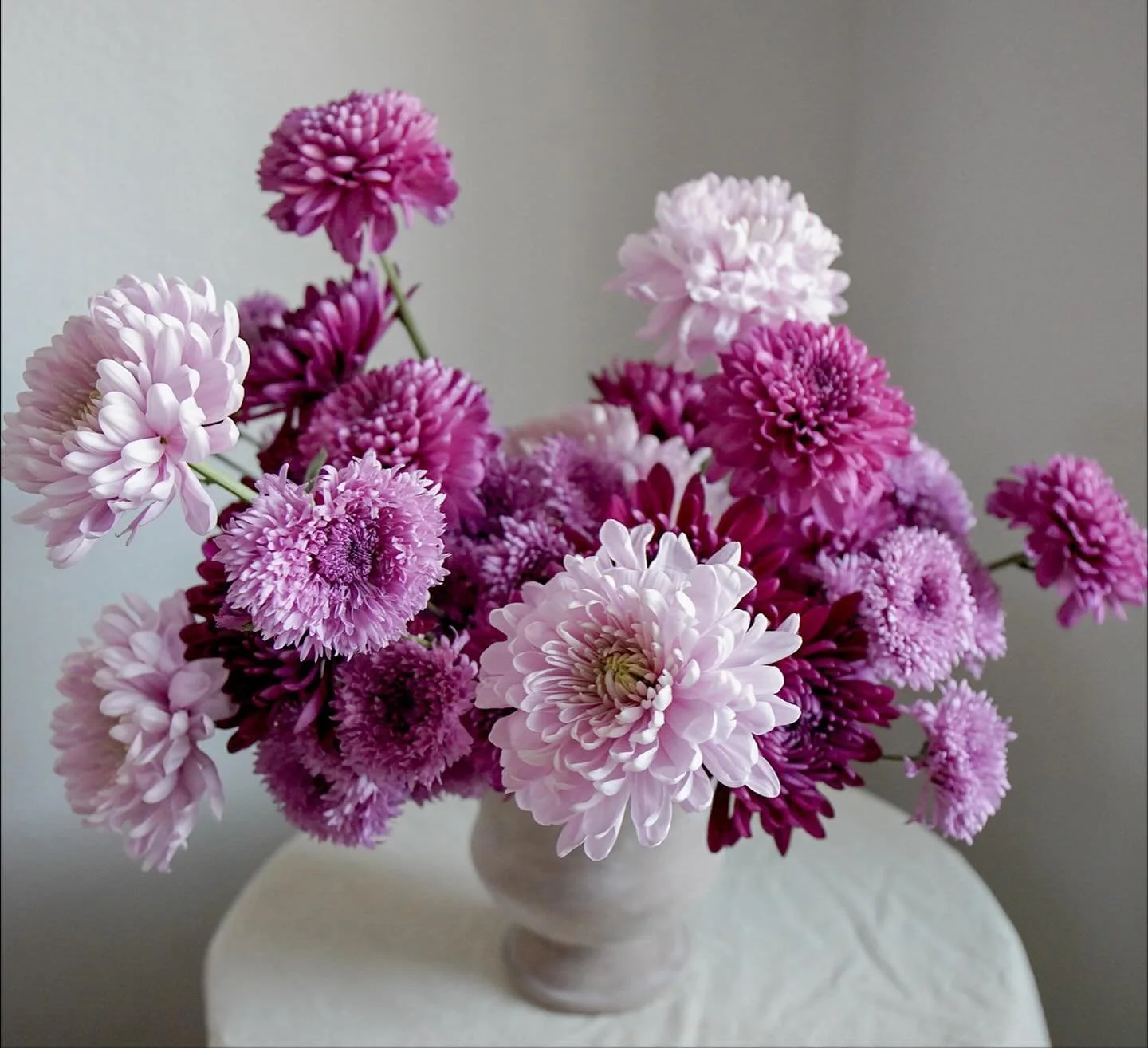 chrysanthemum season is here !!!

#2026bride #mountainwedding #westernwedding #coloradowedding #denverwedding #coloradobride #coloradoflorist #denverflorist