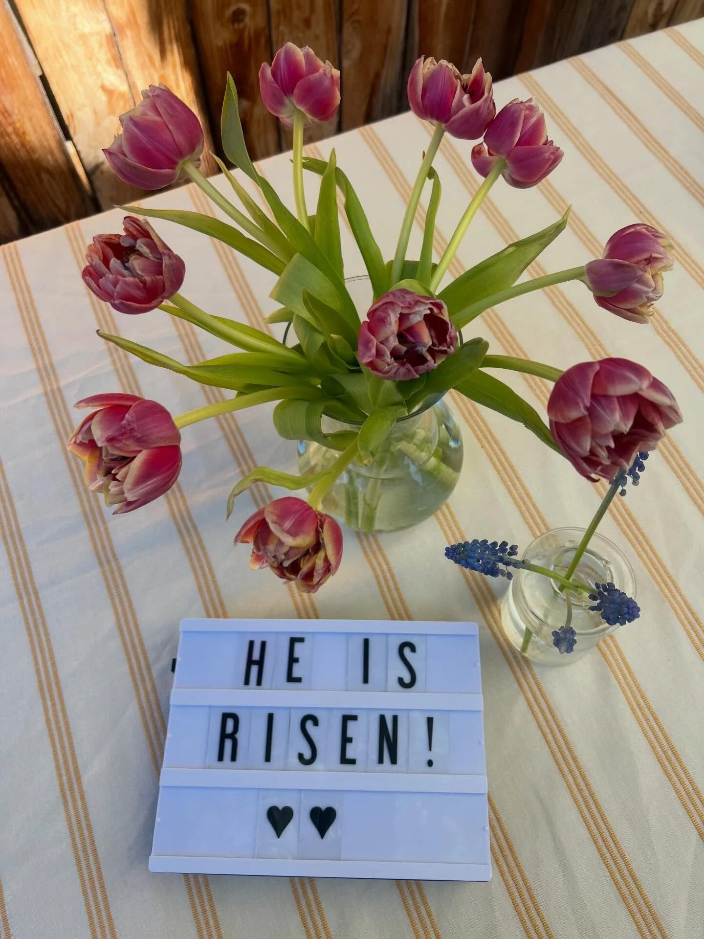 Fun fact: Easter is my favorite holiday. It humbles me that Jesus would die for my sins, and yours. What a gift we have in Jesus. Happy Easter flower friends 🌷🩵

&ldquo;He is not here; for He has risen, just as He said.&rdquo; Matthew 28:6 #easters