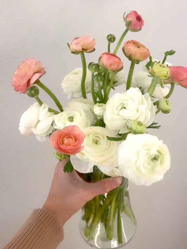 Ranunculus wild &amp; unruly, styled alone in a simple glass vase. 

It&rsquo;s been a busy start to the year prepping for events this month, planning a new venture for Grace in Bloom (more coming soon!) and wedding consultations. I still have a 2-3 
