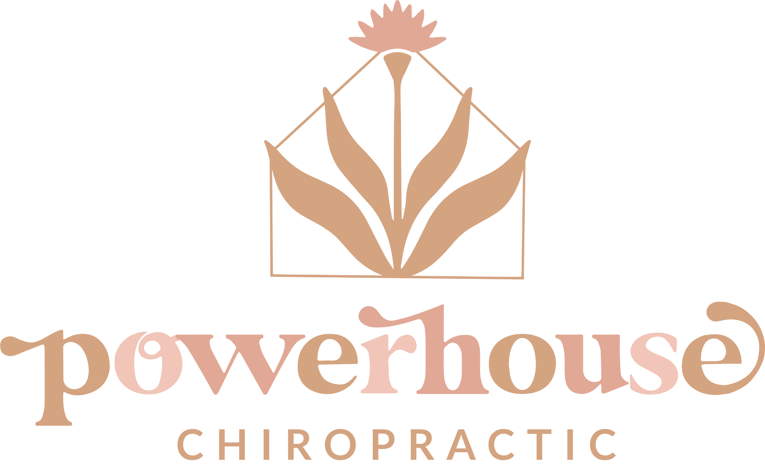 powerhouse chiropractic