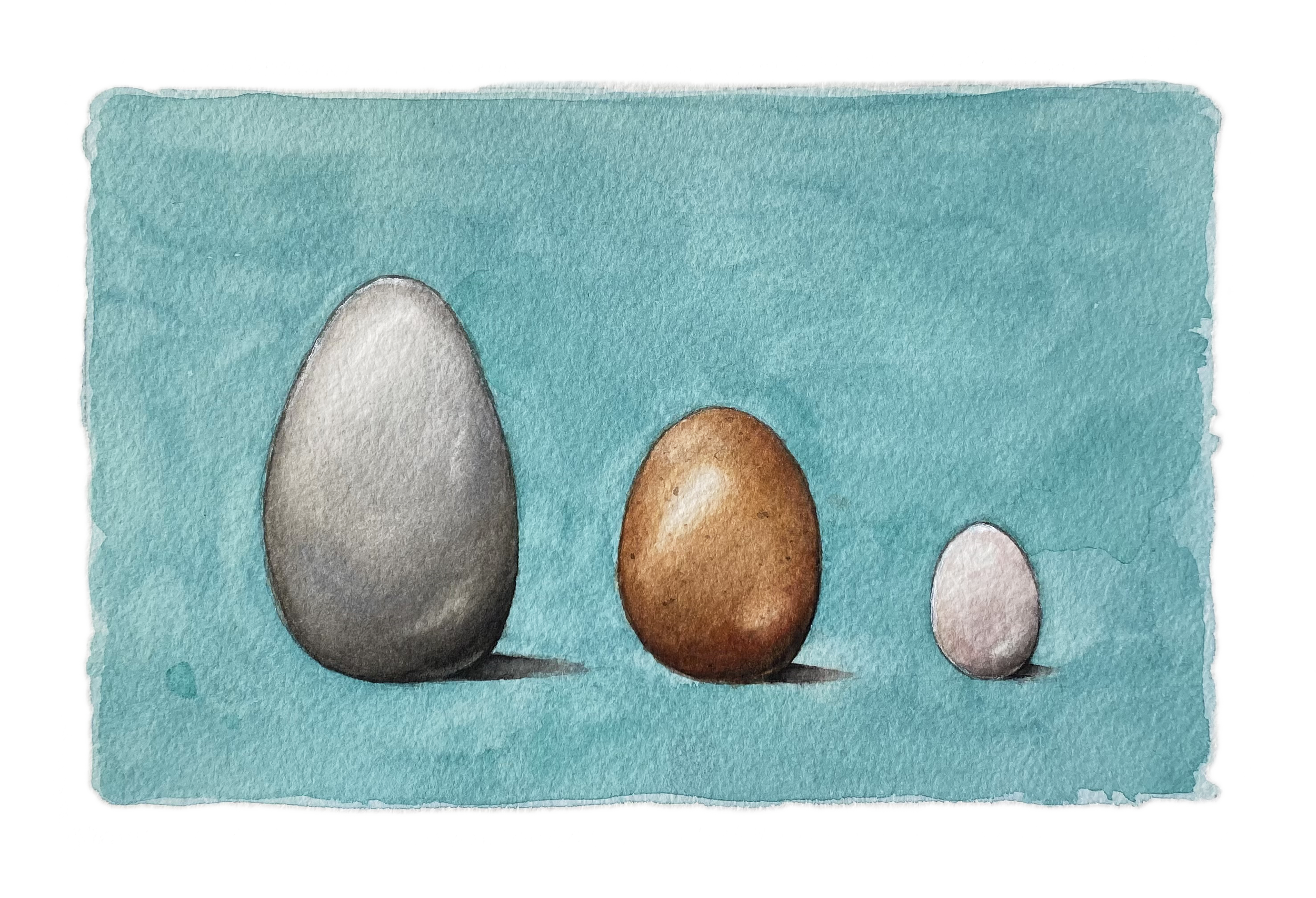 Eggs.png