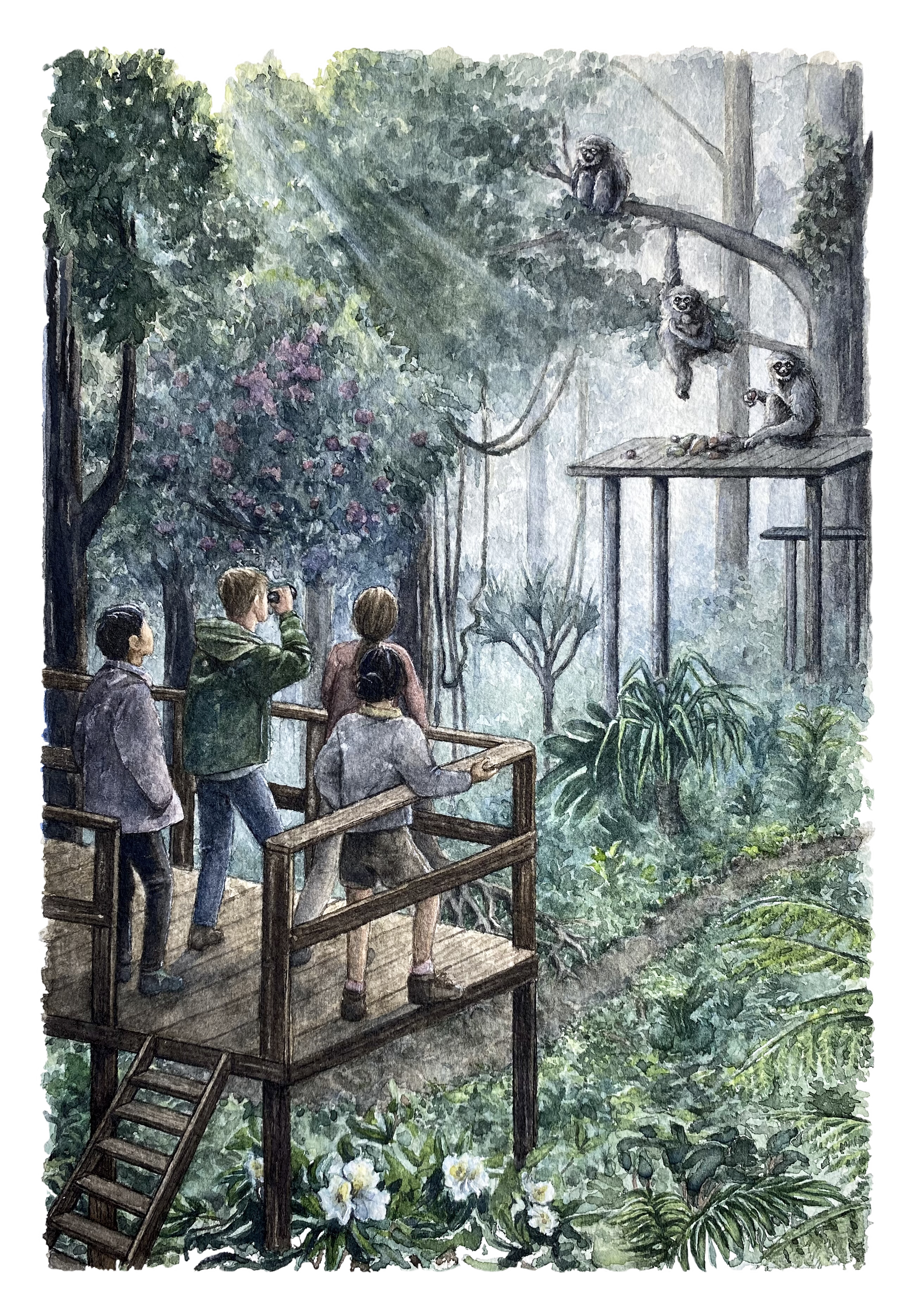 Jungle.png
