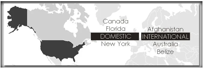 A map of the United States uses shaded areas in black and gray to represent domestic and international investors, collectors, and enthusiasts.