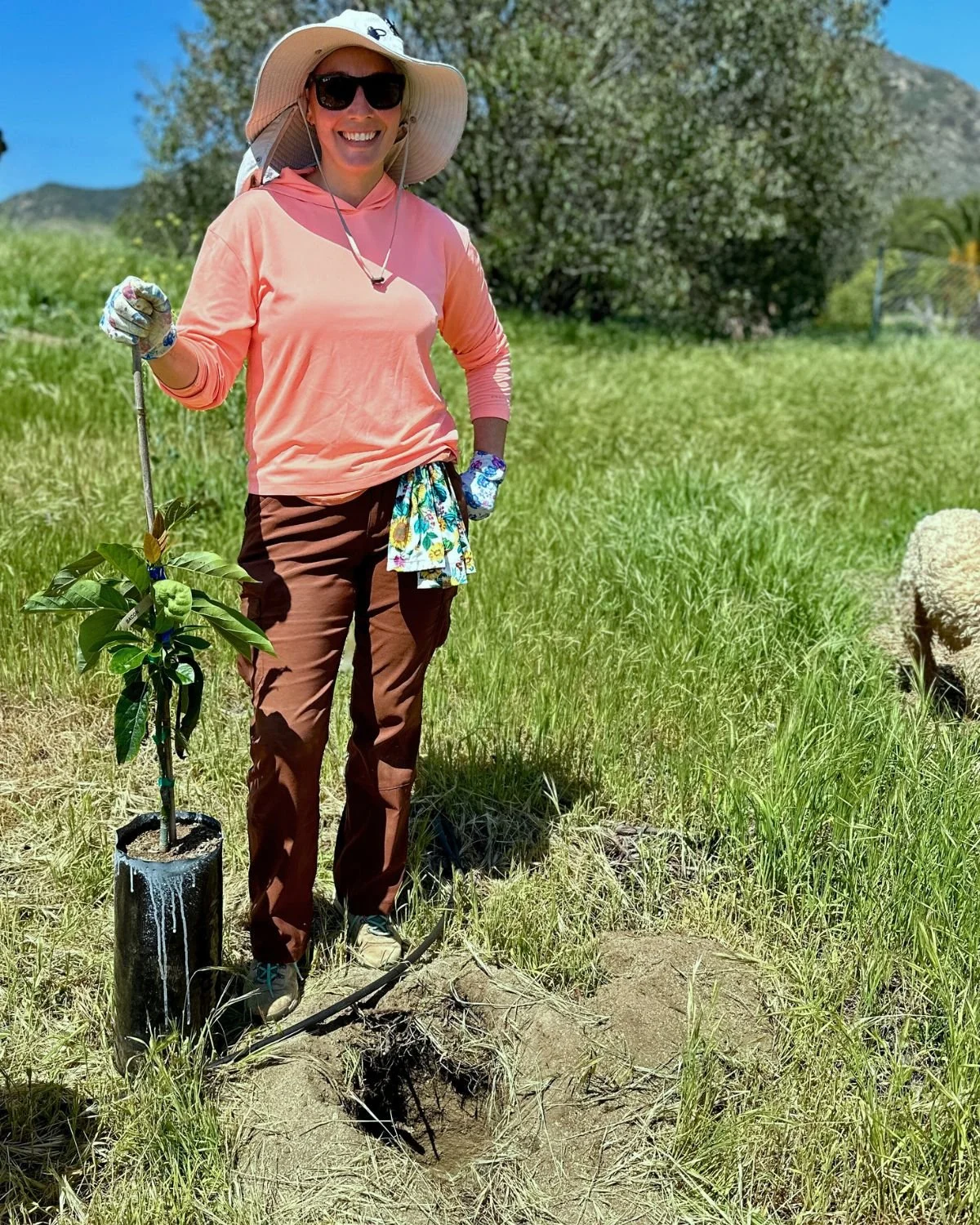 Woman holding avocado tree ready to be planted at Rooted in Love Farm