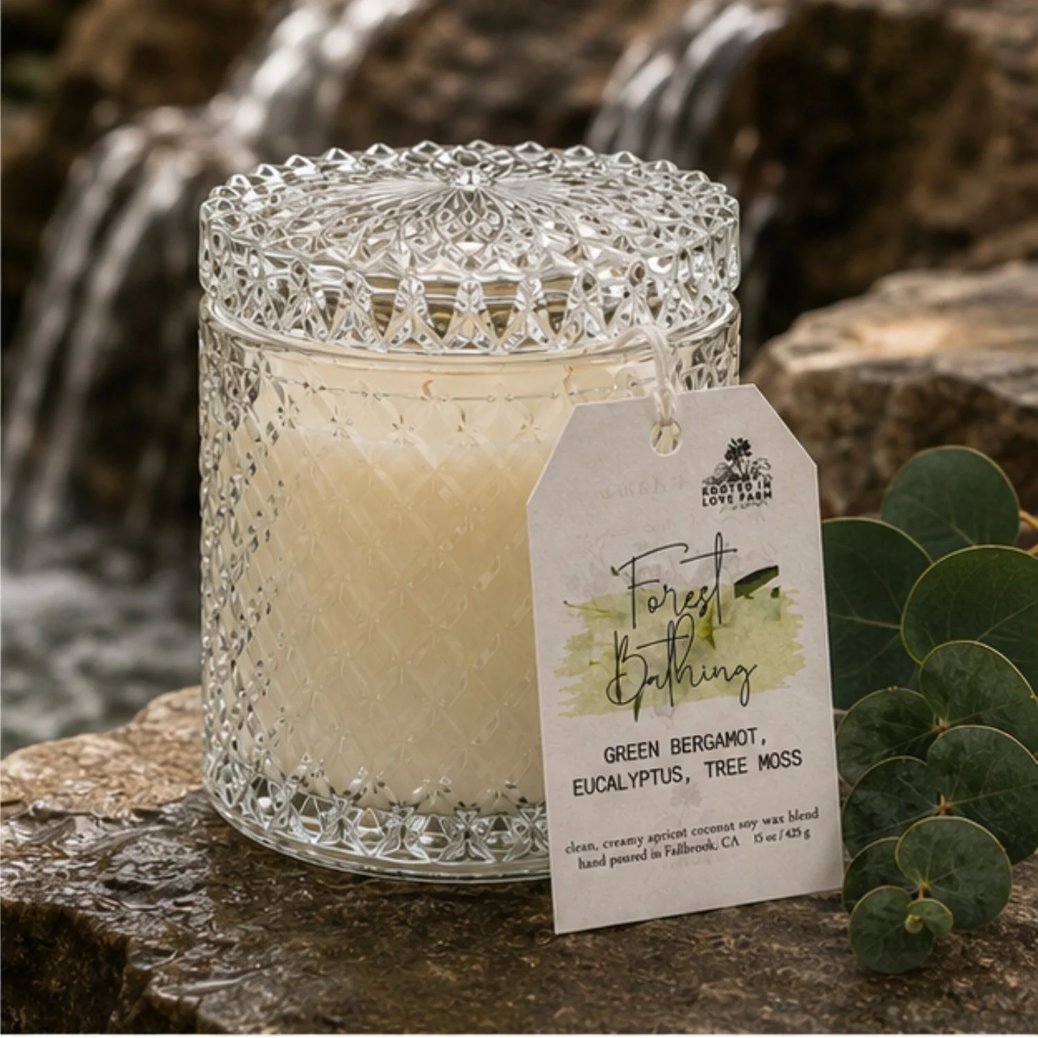 Forest Bathing 15 oz with lid.jpg