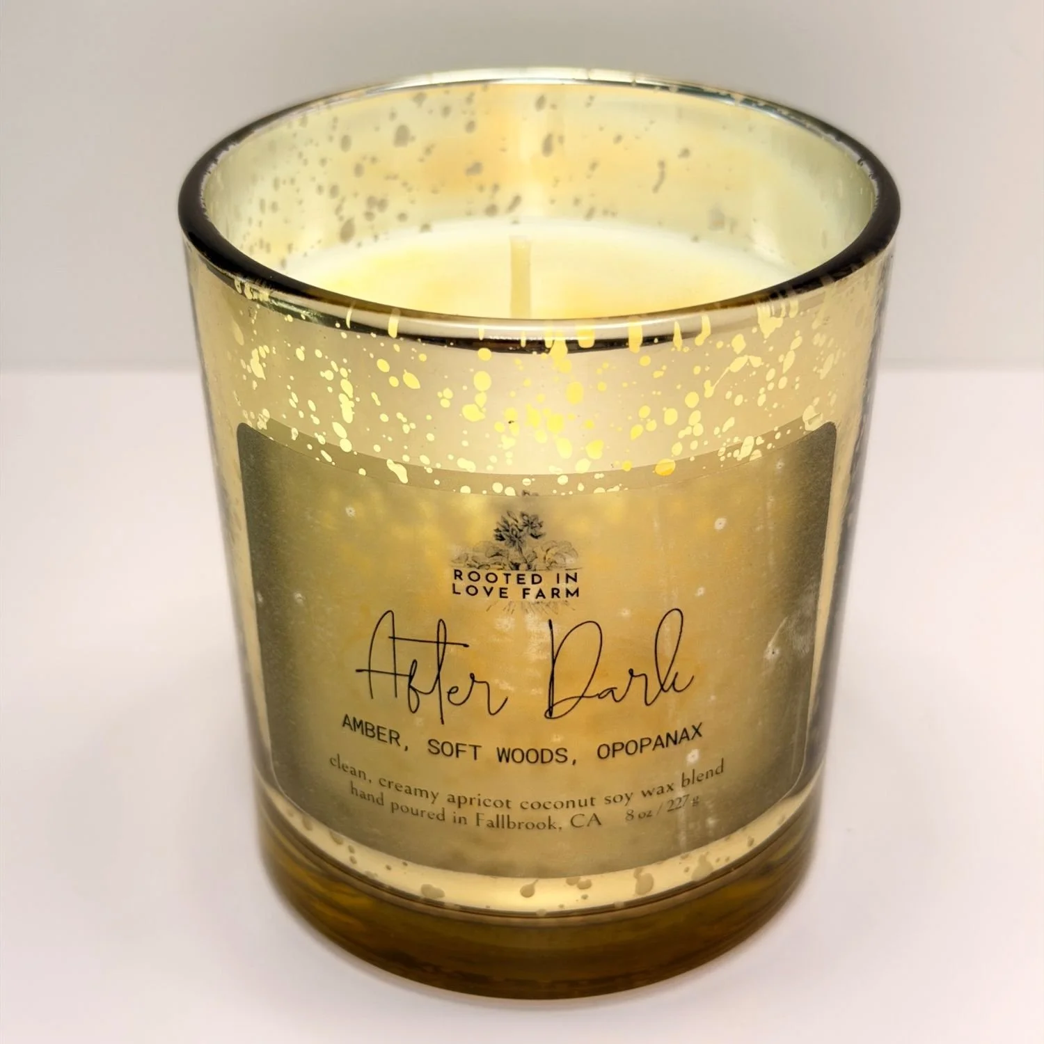 After Dark front and top rose 1500x1500.jpg