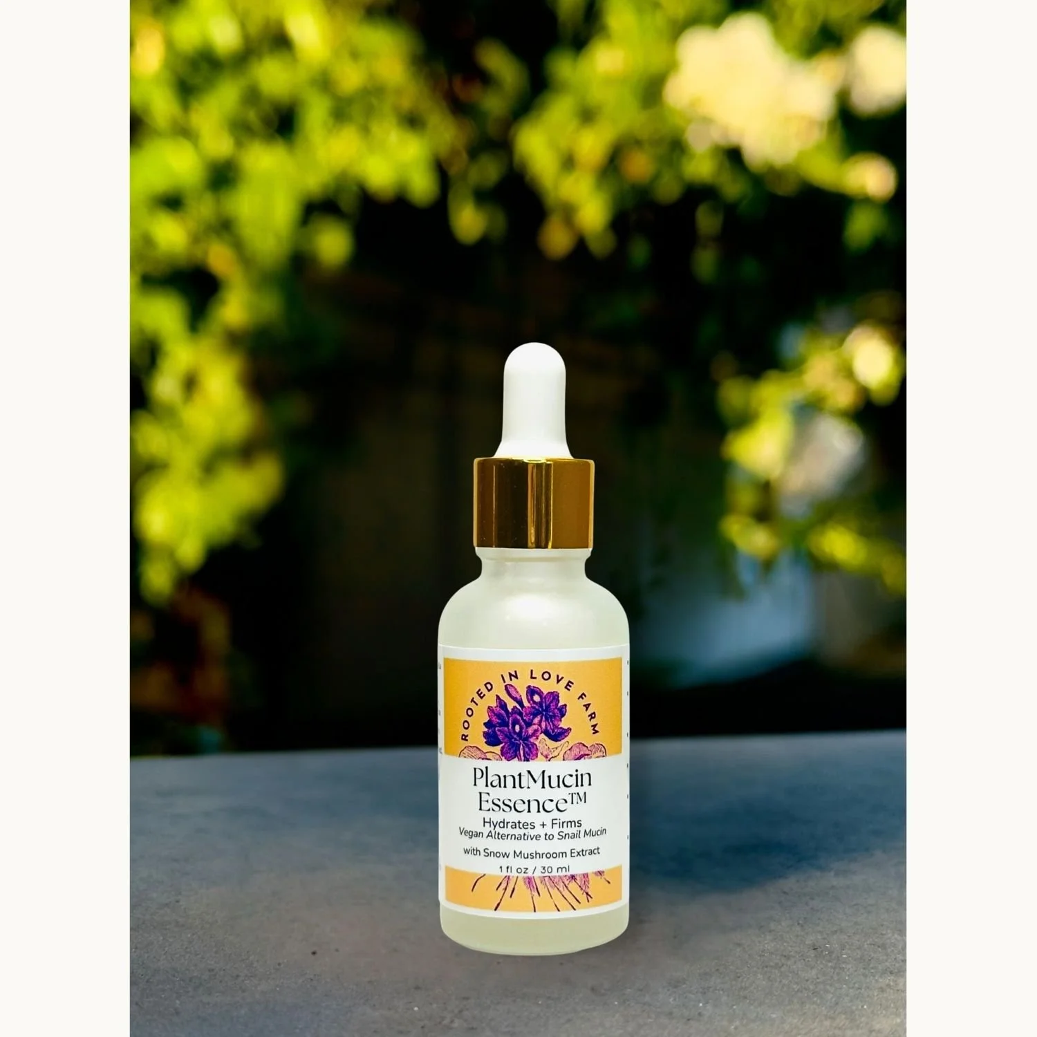 PlantMucin Essent by Rooted in Love Farm with Snow Mushroom Extract on greenery background.jpg