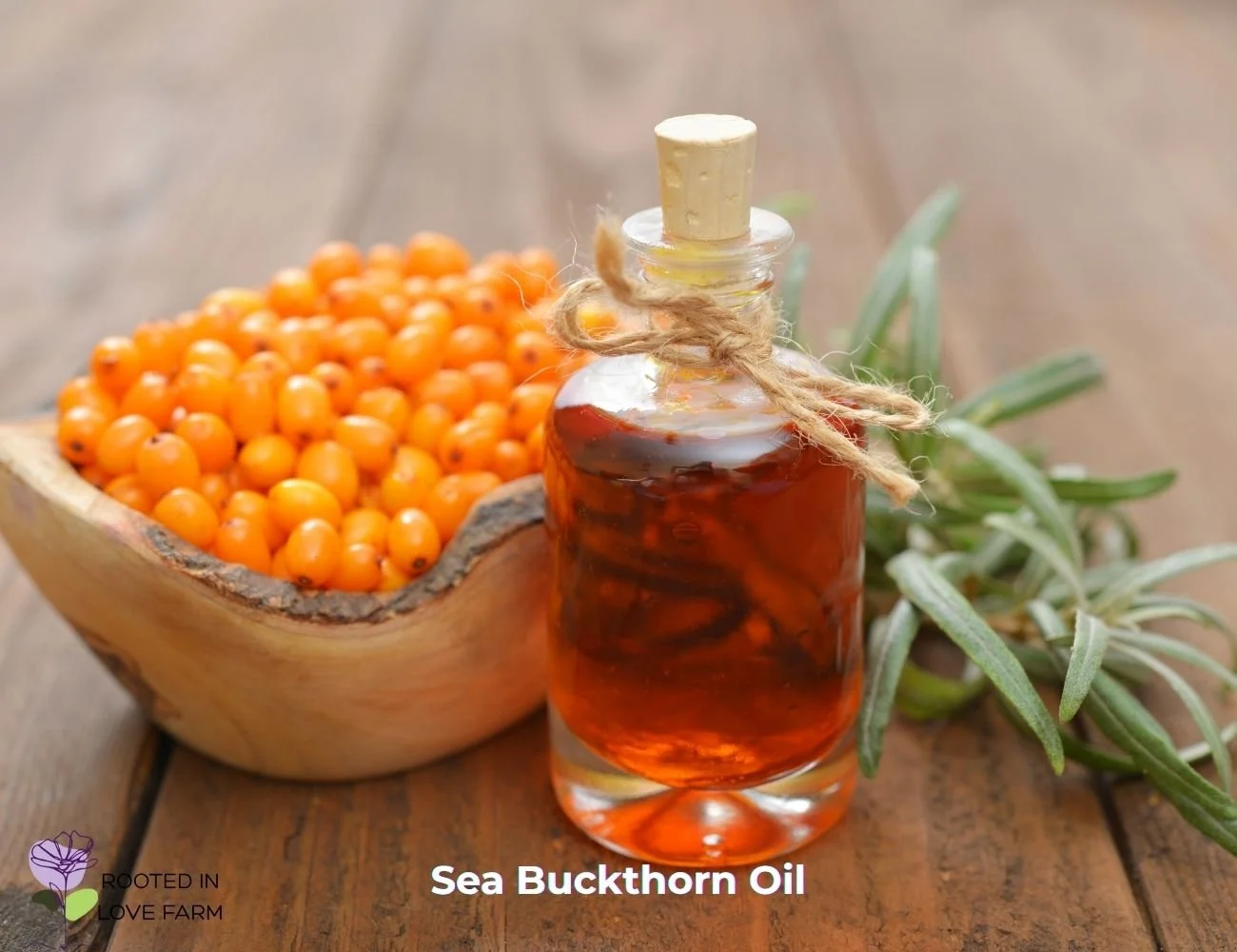 Sea Buckthorn Oil.jpg