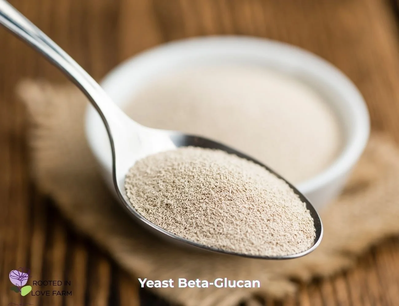 Yeast Beta-Glucan Star Ingredient.jpg