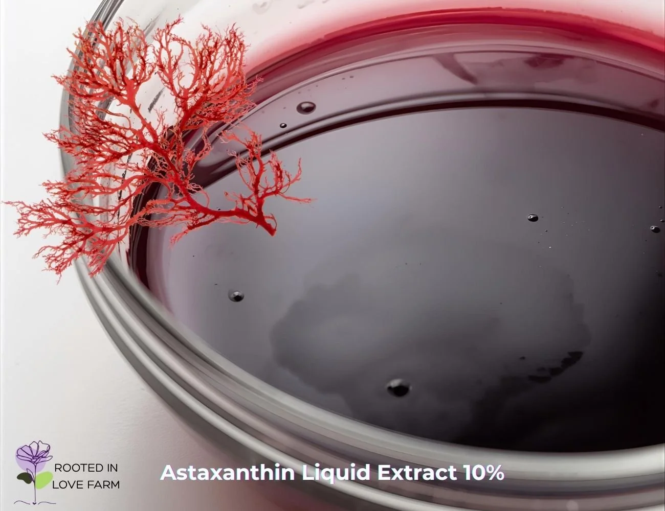 Astaxanthin Liquid Extract 10%.jpg