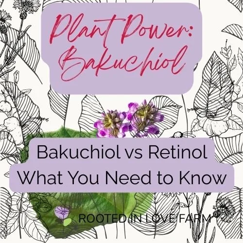 Why Bakuchiol Might Be the Retinol Alternative Your Skin’s Been Craving